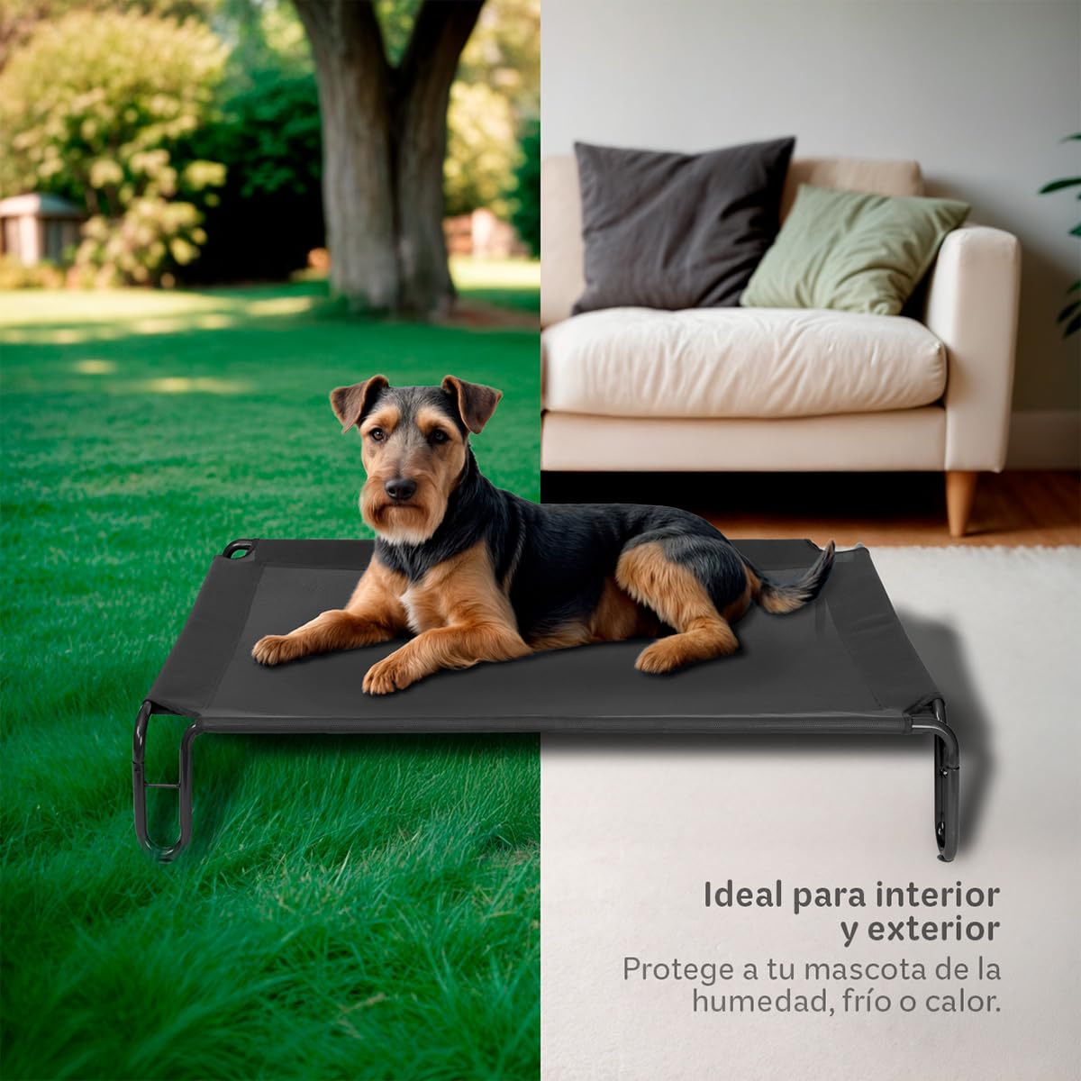 Cama Elevada para Perro Esquimal Negro con Malla Transpirable para Interior y Exterior