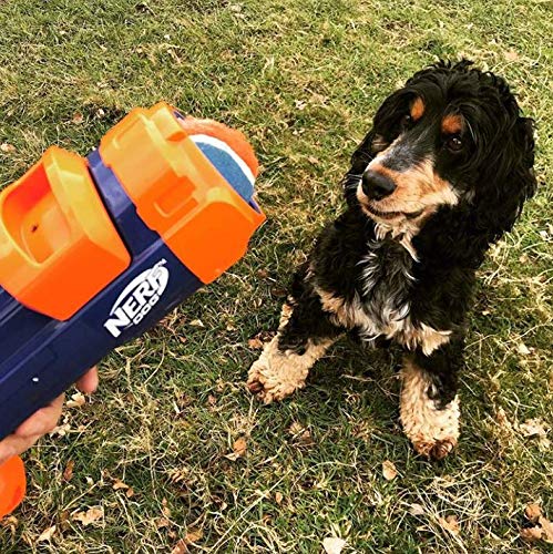 Lanzador de Pelotas de Tenis de 16 Pulgadas Nerf Dog Medio Compacto
