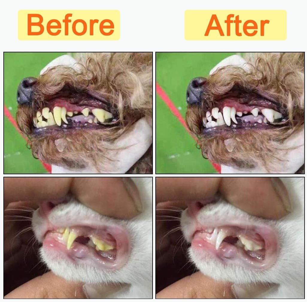 Cepillos Dentales Walquicks Blanco para Perro y Gato con Eliminación de Placa y Sarro