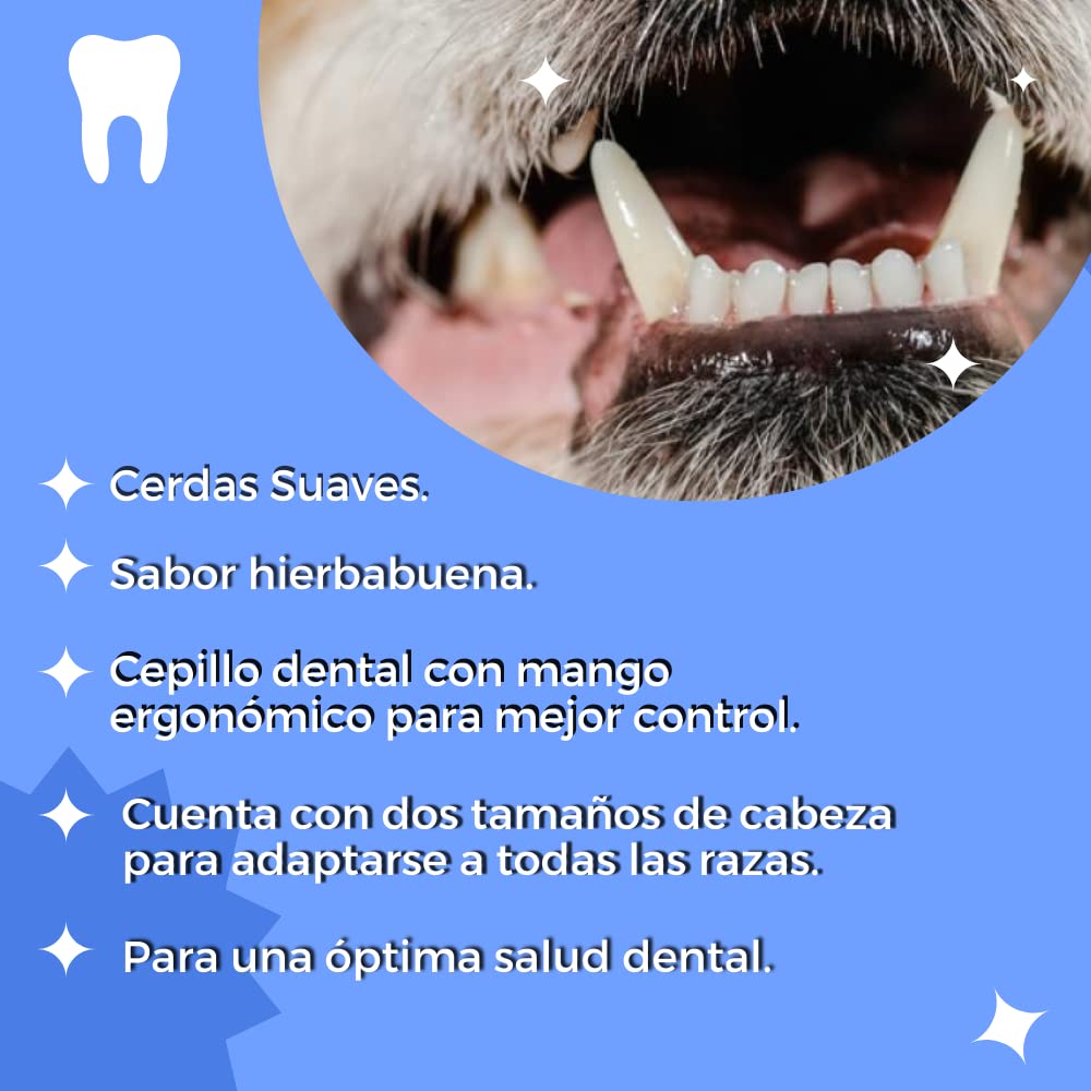 Kit Dental Fancy Pets Menta Suave para Perro