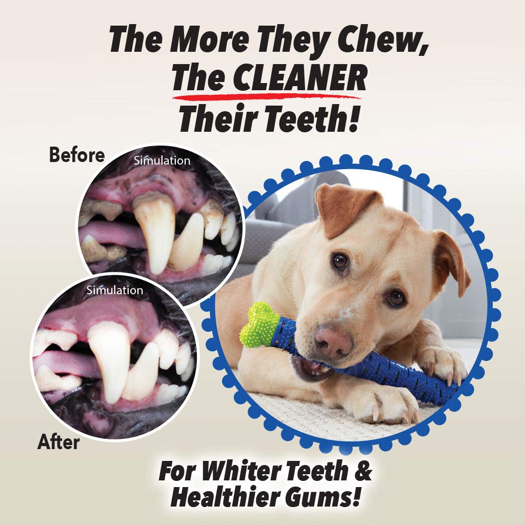 BulbHead cepillo para polvo de dientes para perro y cepillo para polvo de dientes – No requiere pasta dental de perro – Gran juguete de limpieza de dientes de perro, 1 paquete, 1 paquete