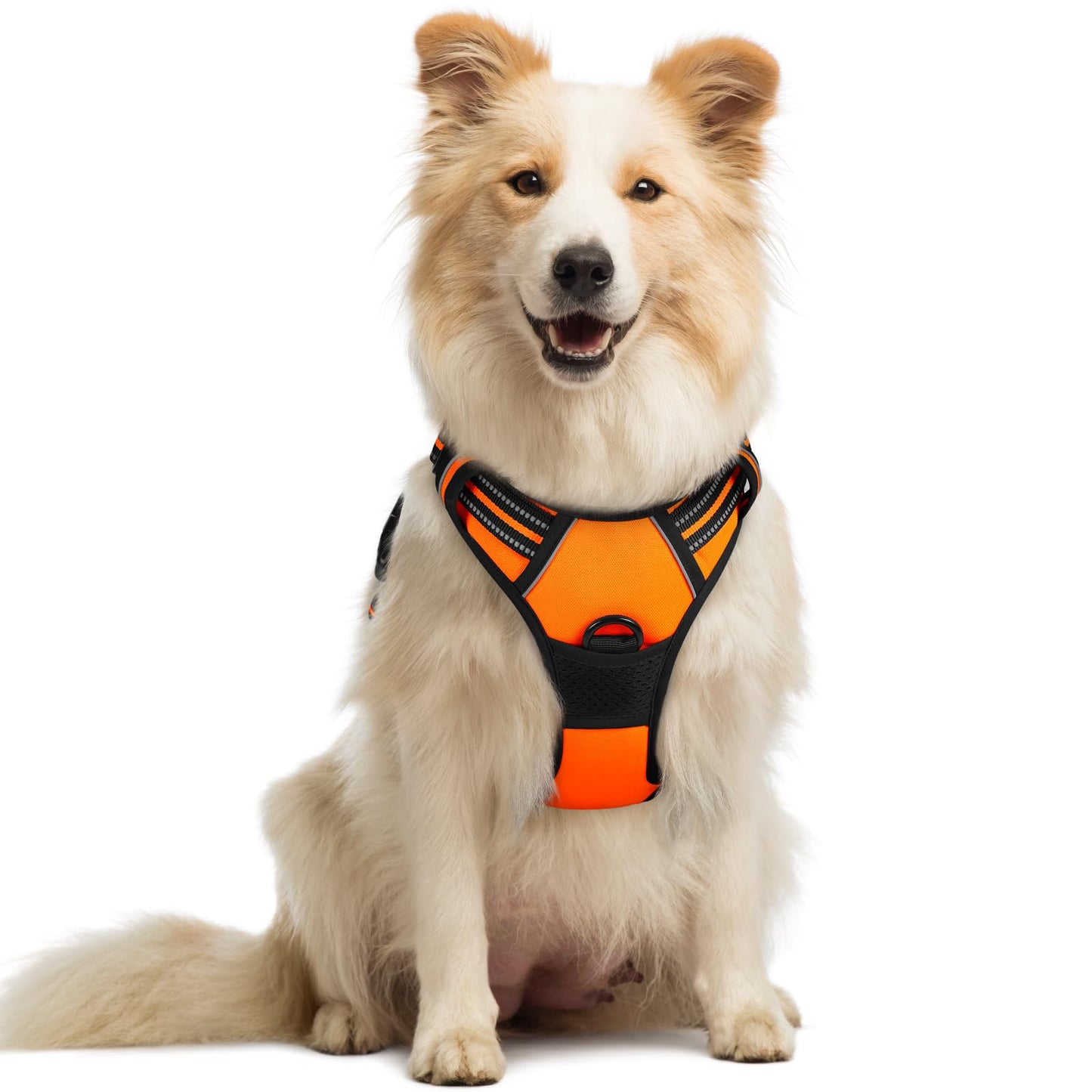 Arnés para Perro Rabbitgoo Naranja con Líneas Reflectantes y Chaleco Acolchado Ajustable para Adiestramiento y Correr Tamaño Mediano