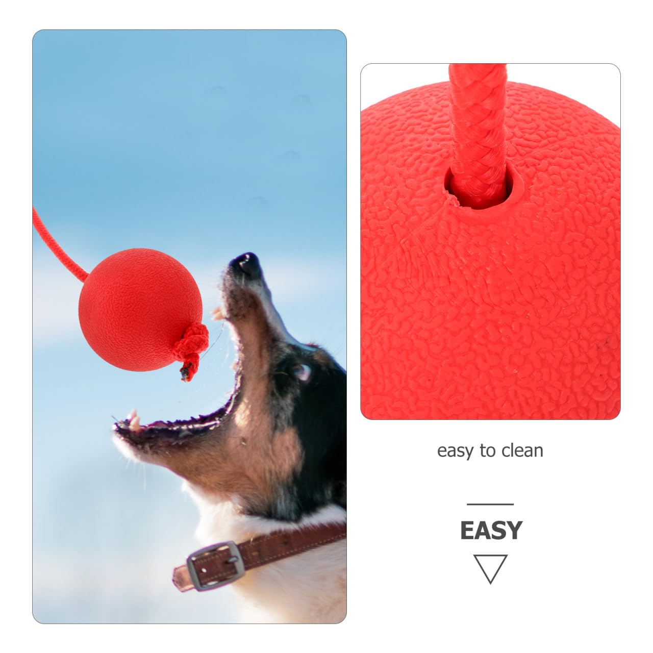 Ipetboom Cuerda y Bolas para Perros - Equipo De Entrenamiento De Agilidad, Tira y Afloja, Deportes y Pelota De Entrenamiento