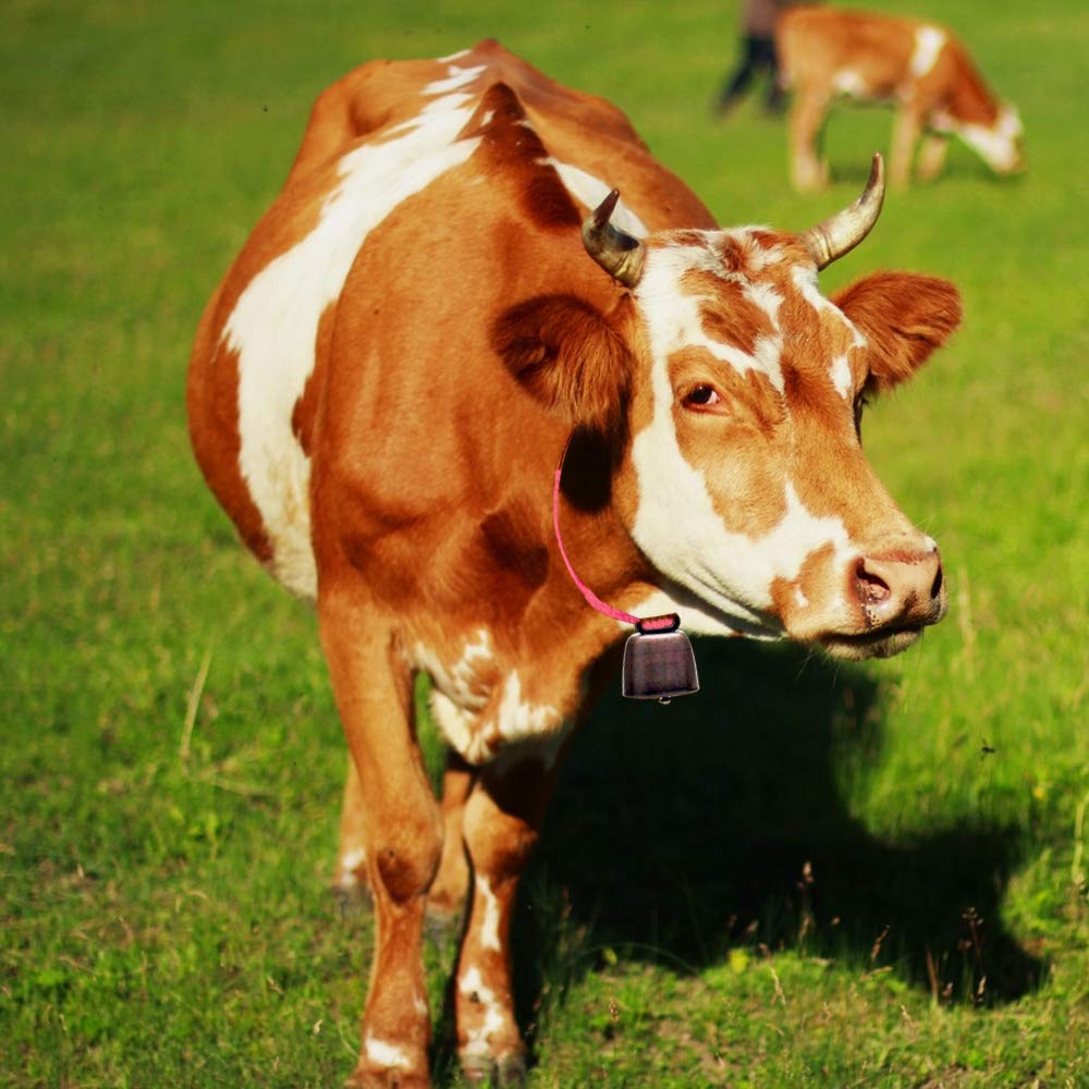 Campanas de Pastoreo de Cobre Bronce Rojo 5 Piezas para Animales y Accesorios Antirrobo