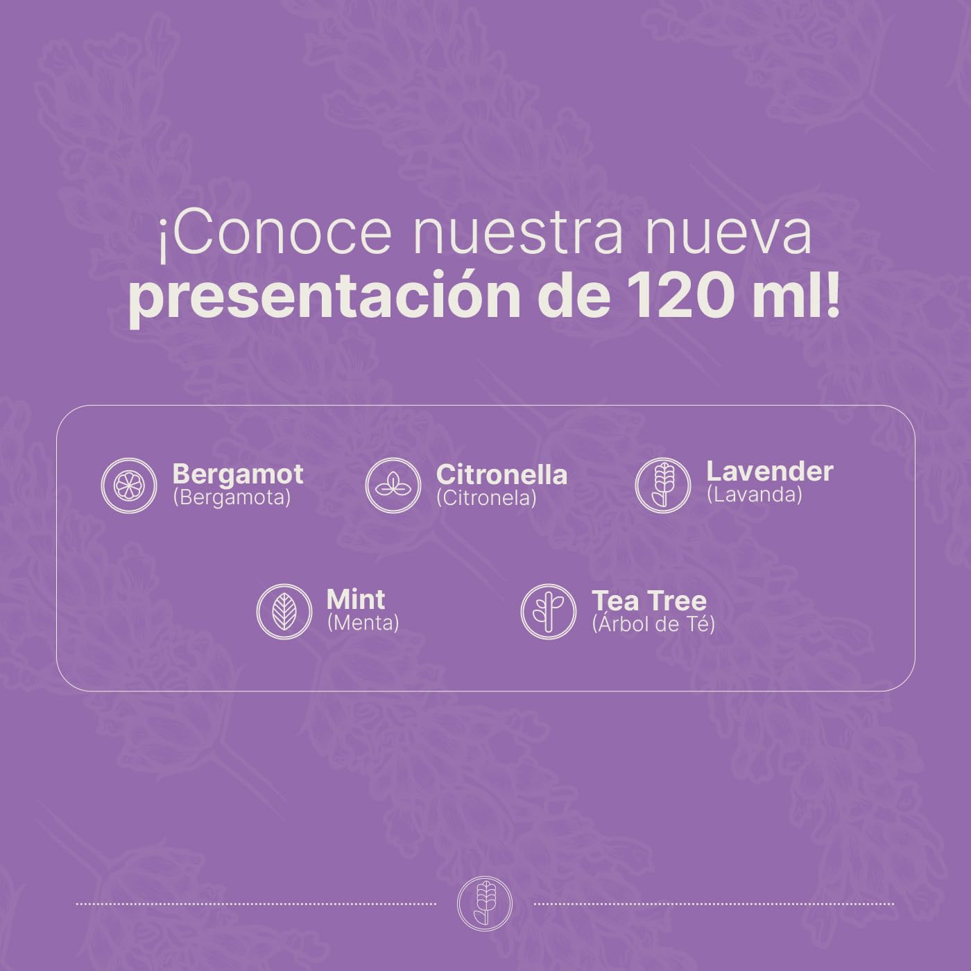 Aceite Esencial B Life Lavanda Aromalogía 120 ml Ingredientes Puros y Naturales