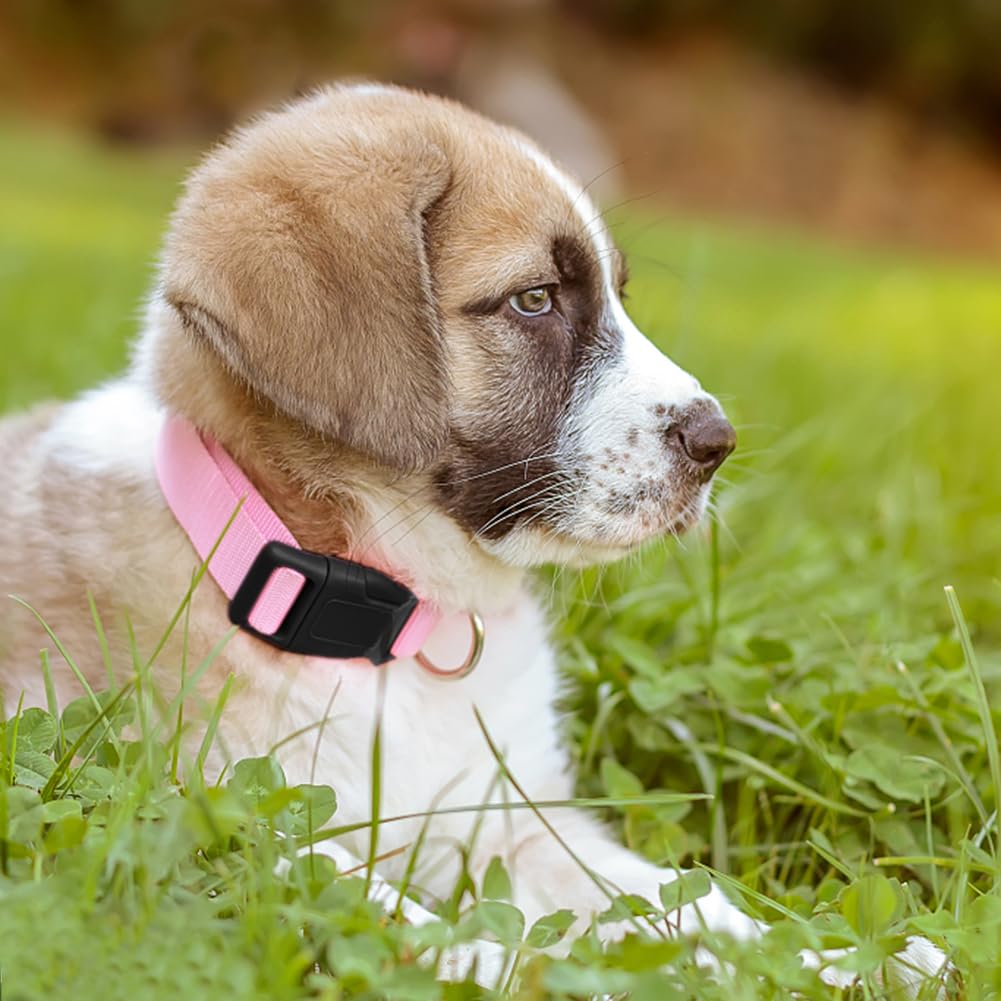 PENSEEPET Collar para perros pequeños, ajustable, grande, mediano, pequeño, diferentes tamaños, rosa