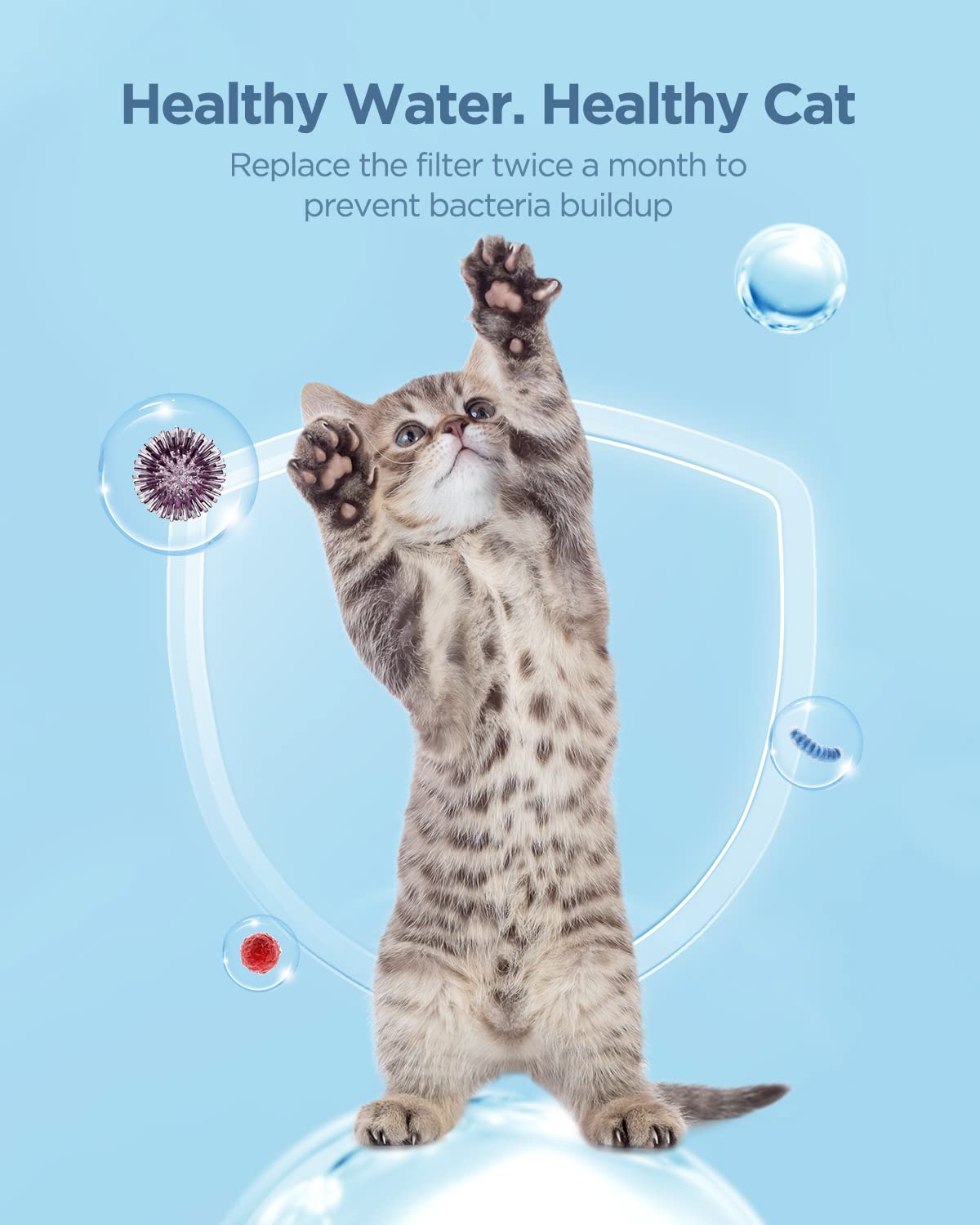 Ciays Filtro de repuesto para fuente de agua para mascotas, 4 unidades