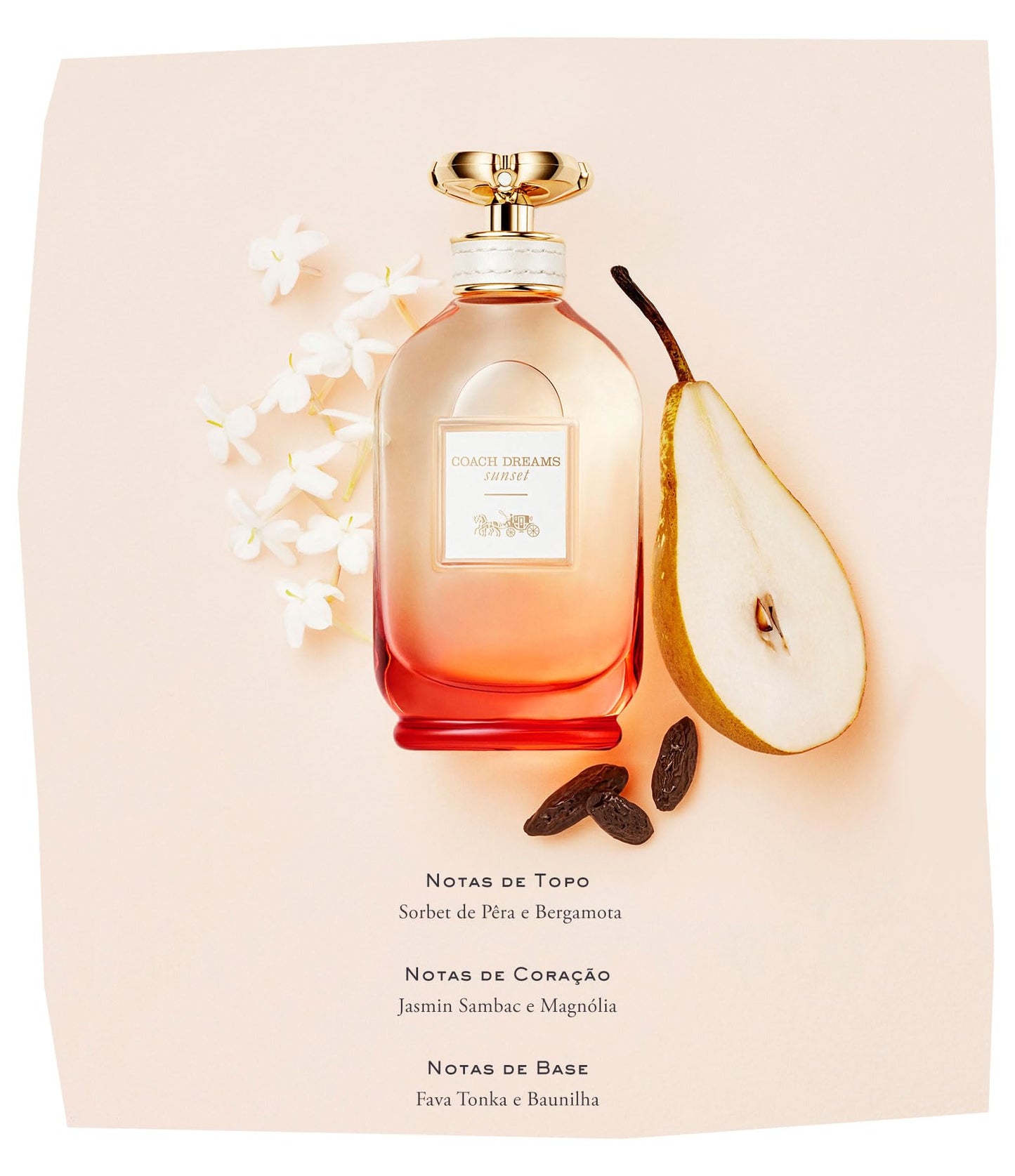 COACH - Aerosol EDP Dreams Sunset para mujer, 3 onzas