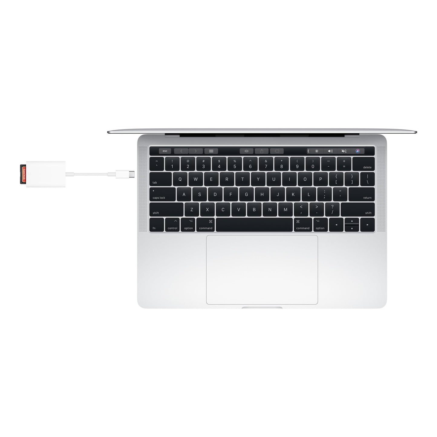 Adaptador USB-C Lector de Tarjeta SD