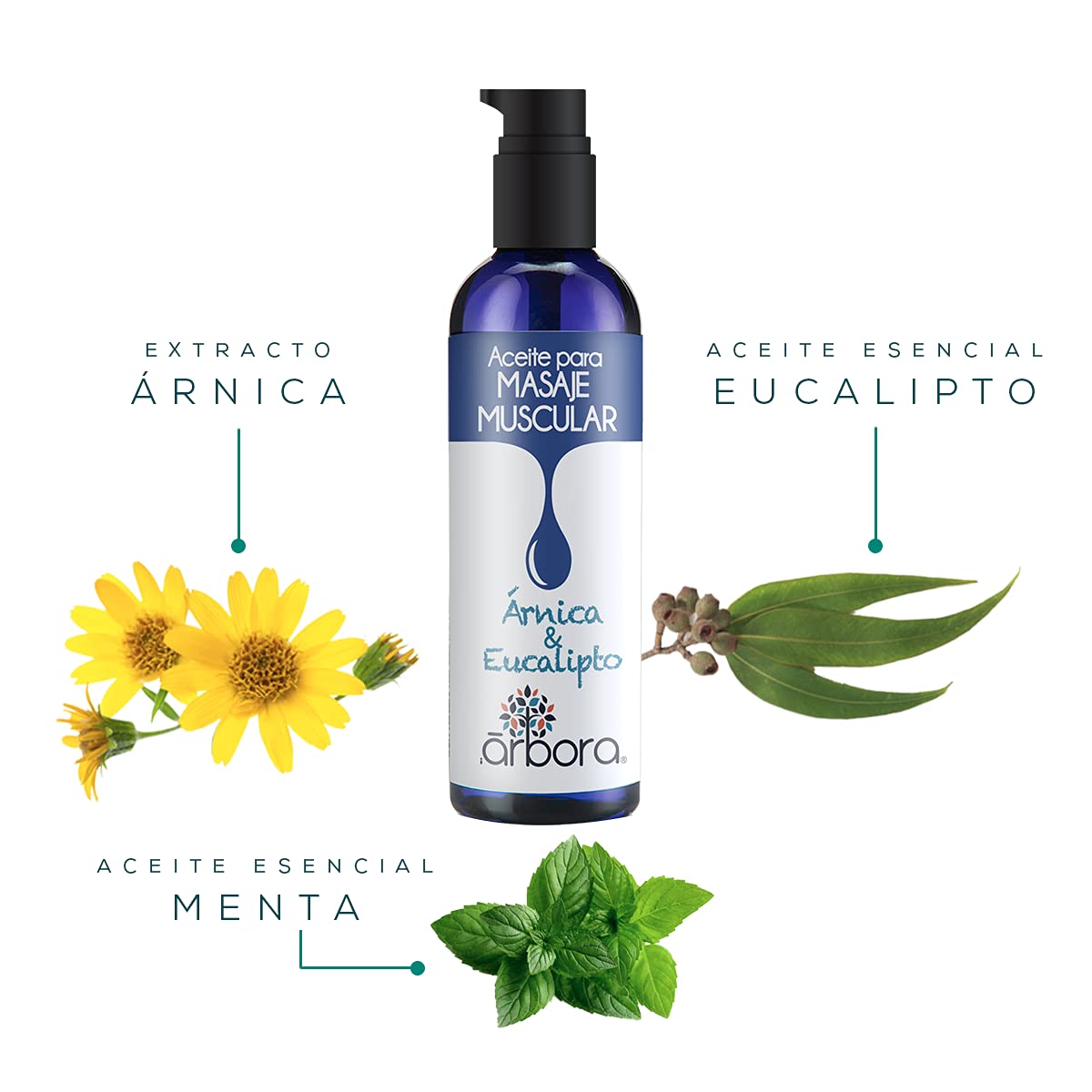 Pack 3 Aceites para Masaje Árbora Sándalo y Eucalipto Reconfortante Aromaterapia 90 ml