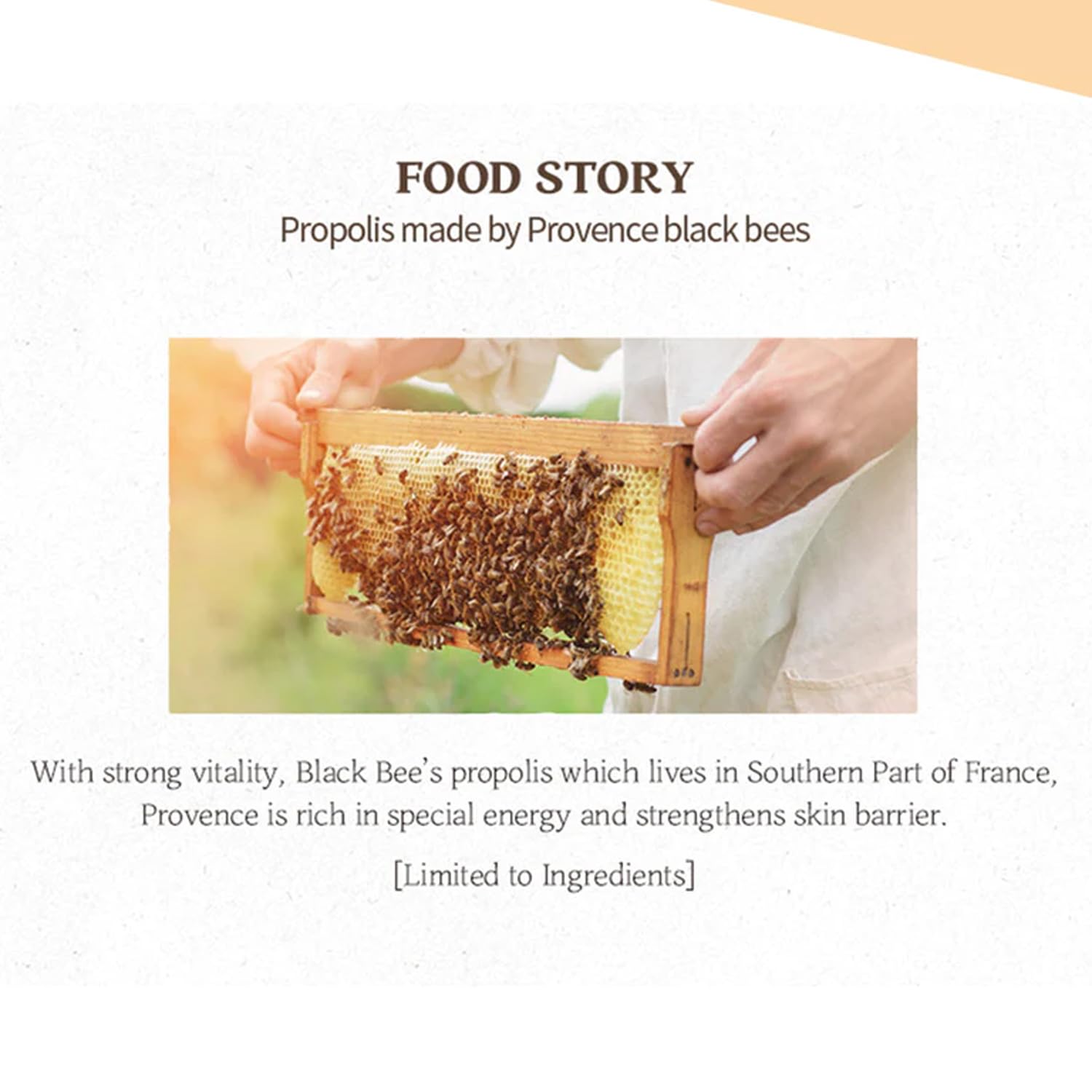 SKINFOOD Royal Honey Essential Emulsion