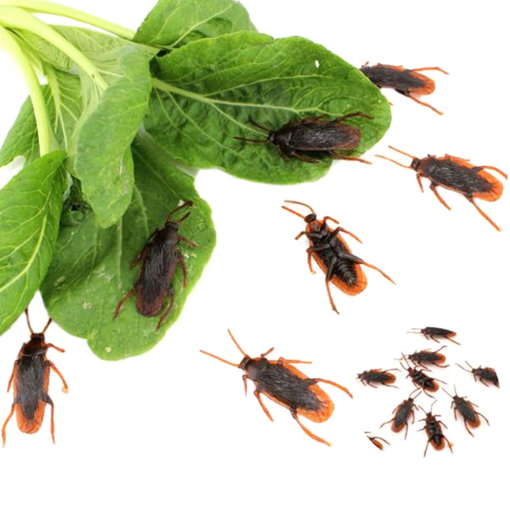 Cenyo GUDVES Prank Fake Roaches Model Simulation Fake Rubber Cockroach Roach Bug Roaches Toy Prank Funny Trick Joke Toys Plastic Bugs (10 unidades)