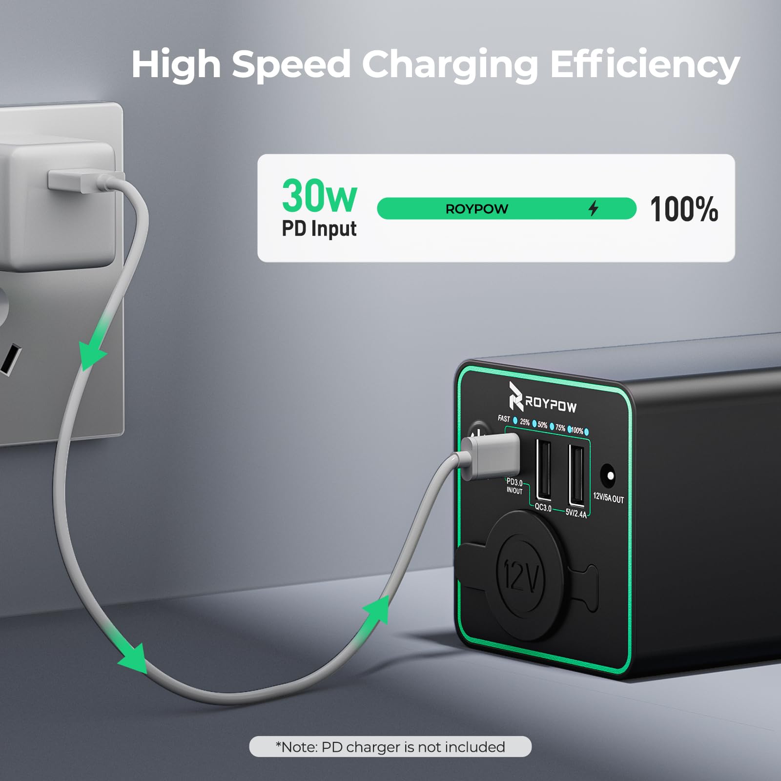 Banco de Energía RoyPow 30 W Negro con Enchufe de Encendedor de Cigarrillos y USB C para Portátil