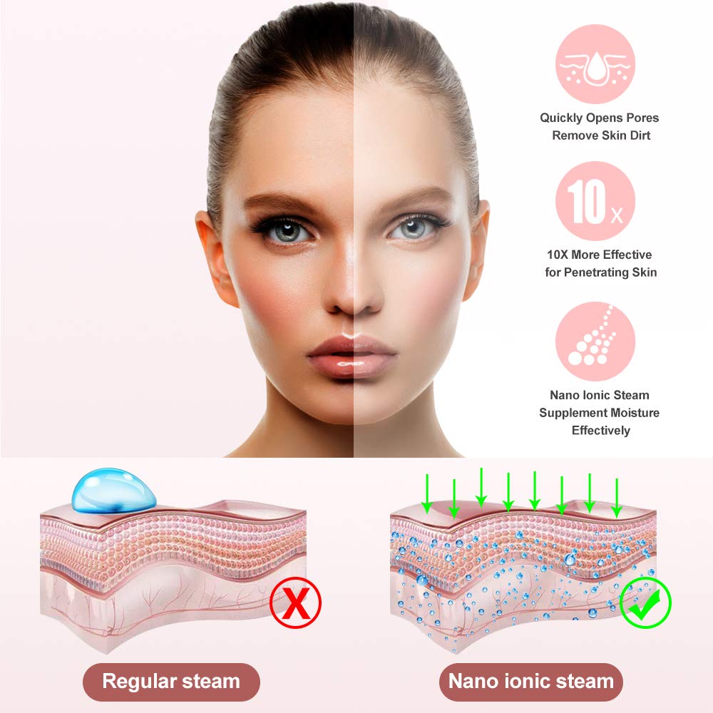 Amconsure - Vaporizador facial nano iónico para el hogar, humidificador facial cálido para mujeres, vaporizador facial hidratante para spa, desatasca los poros, kit de 5 piezas de piel de acero inoxidable y 2 estropajos faciales de silicona