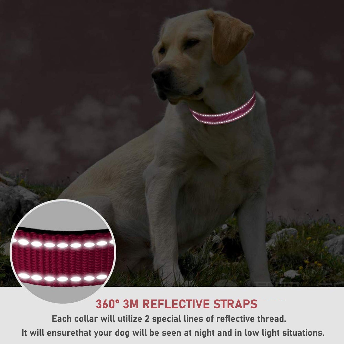 Collar reflectante para perro con hebilla de bloqueo de seguridad, ajustable suave neopreno acolchado transpirable de nailon para perros pequeños, medianos y grandes, rosa S