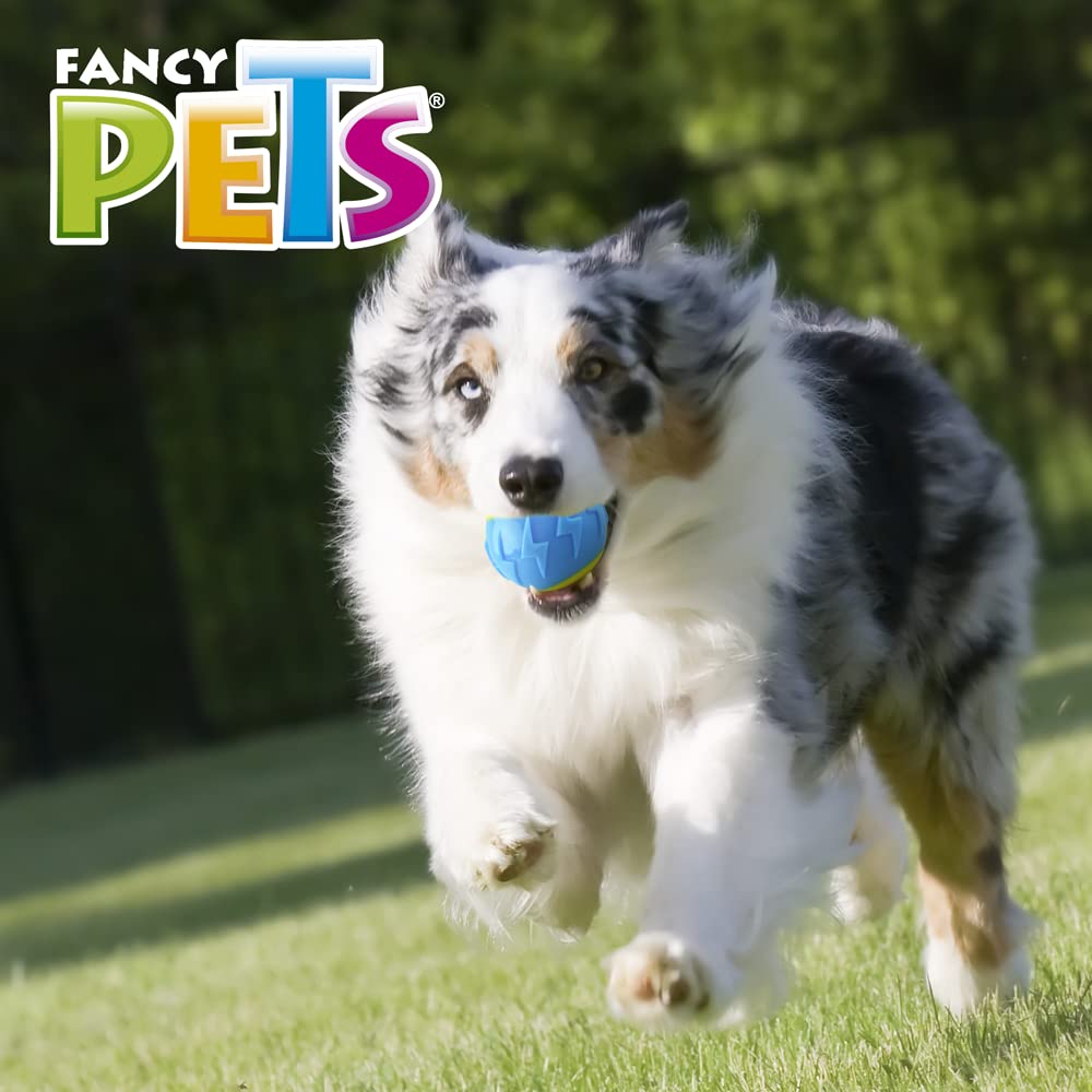 Fancy Pets Pelota Fetch Flash Color Azul con Sonido para Perro