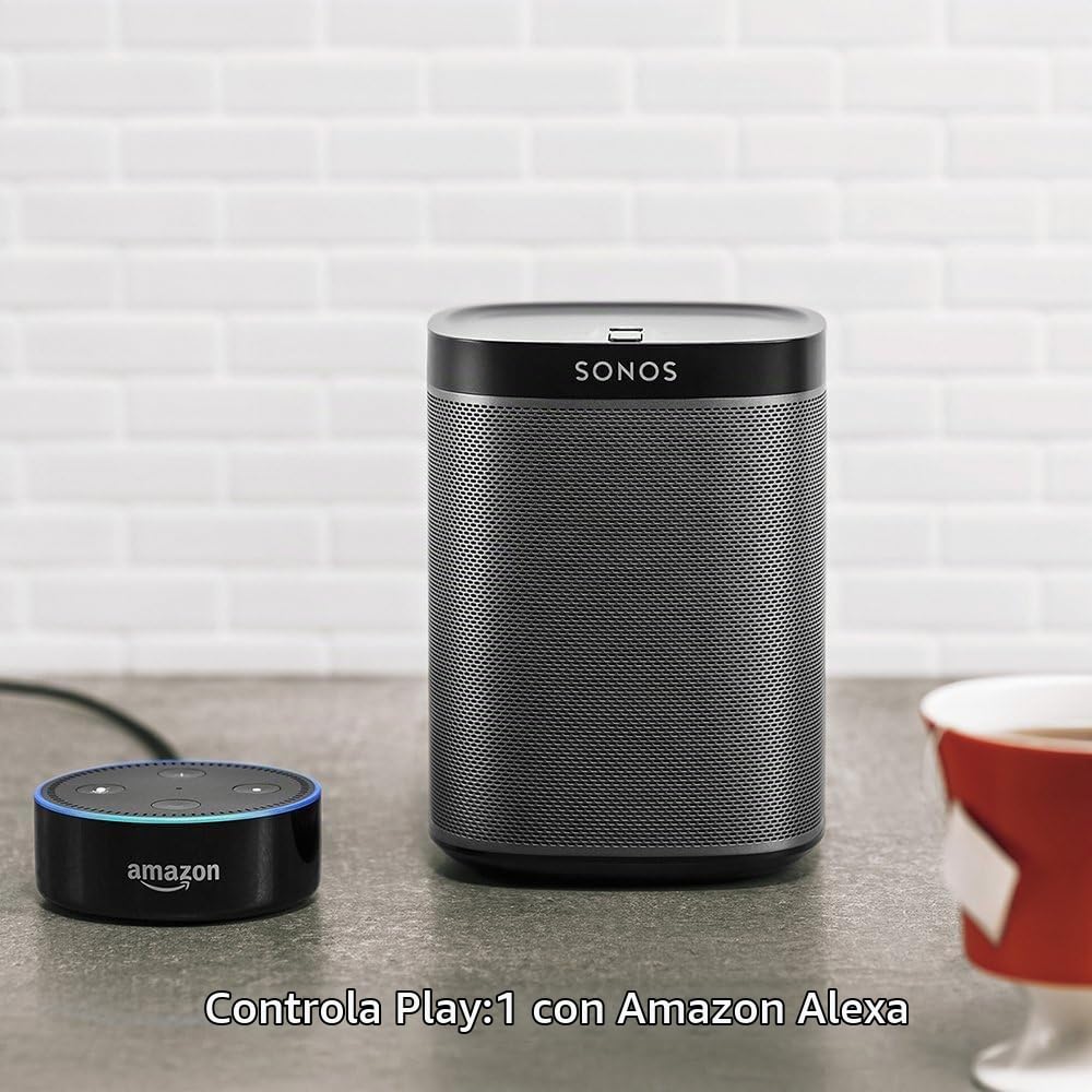 Altavoz Inalámbrico Sonos Negro Compacto Reacondicionado Compatible con Alexa