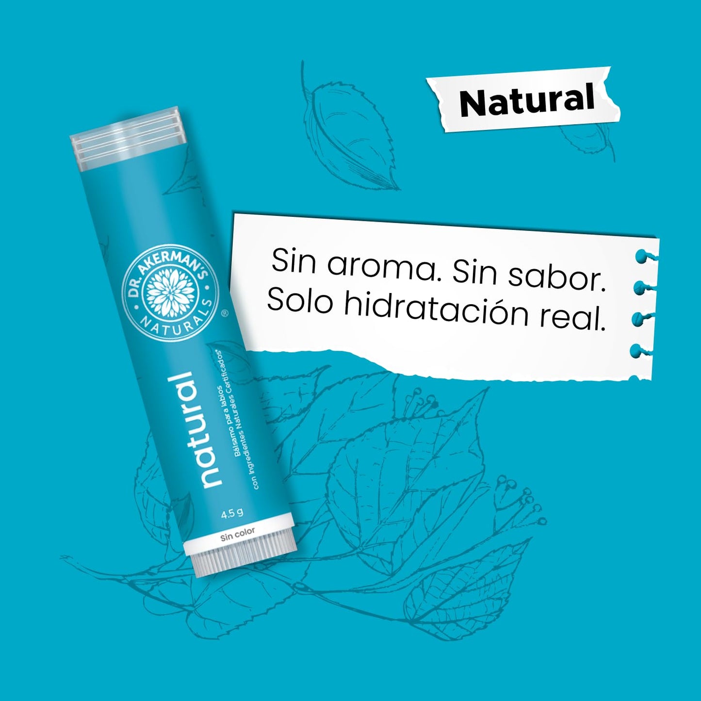 DR. AKERMAN'S NATURALS, Bálsamo Labial Natural Humectante, Pack de 5 Sabores Mixtos, Protección e Hidratación Diaria, 4.5g Cada Uno (1)