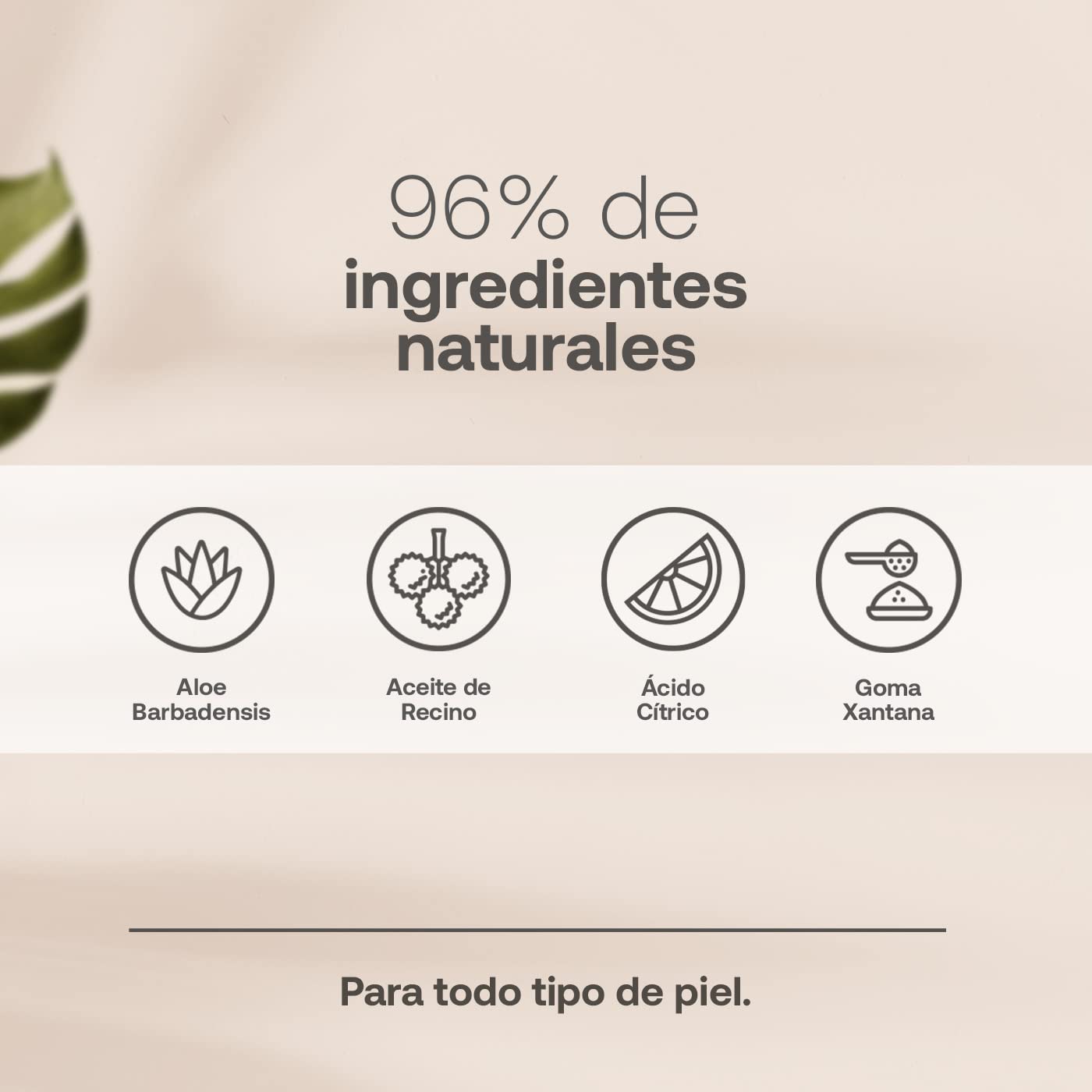 Sérum de Día para Rostro de 60 ml con 96% de Ingredientes Naturales, Suero Facial de Vitamina C, Ácido Hialurónico. Skincare Antiarrugas. Day Serum B Life.
