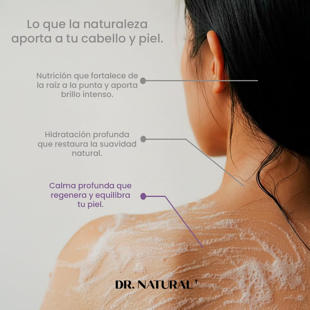 Dr. Natural Jabón de Castilla Líquido para Cuerpo | Natural, Orgánico, Sin Sulfatos y Parabenos | Shampoo y Jabon Facial | Hecho de Plantas, Aceite de Oliva, Coco y Palma, Manteca de Karité y Romero (Lavanda)