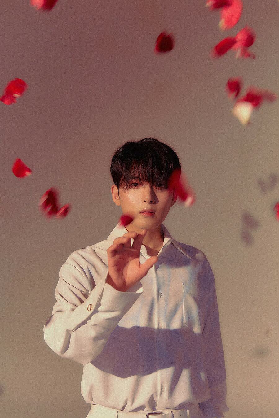 Álbum Mini 3ra Edición Super Junior Ryeowook Rose Petal Prickle Set