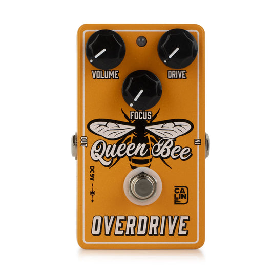 Caline CP-503 Queen Bee Overdrive - Dispositivo de efecto de piso