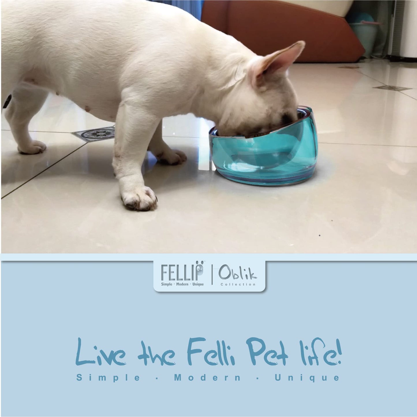 Felli Cuenco elevado para perros de acero inoxidable inclinado ovalado inclinado antivómitos, a prueba de derrames, base antideslizante de goma elevada, alimentador de metal para perros pequeños y medianos (1.5 tazas, zafiro)