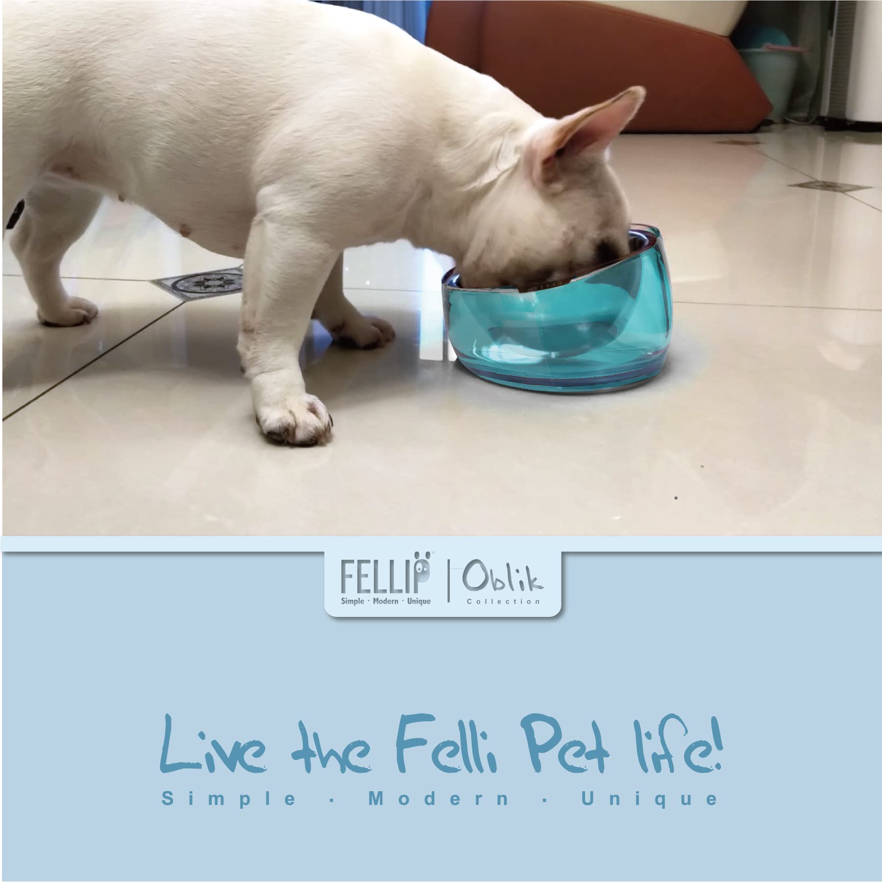 Felli Cuenco elevado para perros de acero inoxidable inclinado ovalado inclinado antivómitos, a prueba de derrames, base antideslizante de goma elevada, alimentador de metal para perros pequeños y medianos (1.5 tazas, zafiro)