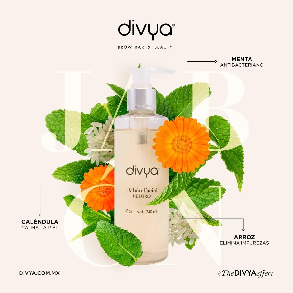 DIVYA | Jabón Limpiador Facial,Limpia, Hidrata y Suaviza,con Aloe Vera, Apto para Todo Tipo de Piel, 240 ml