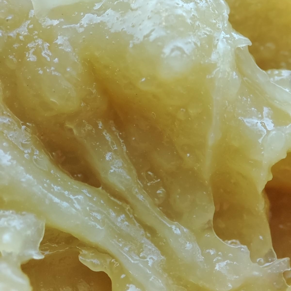 Bálsamo Labial Volume Nuestra Tierra Cosmética Voluminizador