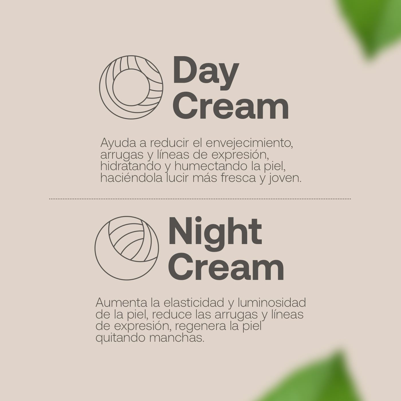 Kit Crema Día y Noche para Rostro de 90 ml C/U. Ingredientes Naturales. Adicionada con Vitamina C y Ácido Hialurónico. Kit Day and Night Cream B Life.