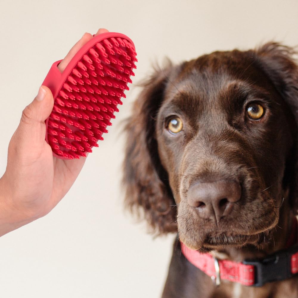 Fancy Pets Expert Grooming Removedor de Pelo para Perro
