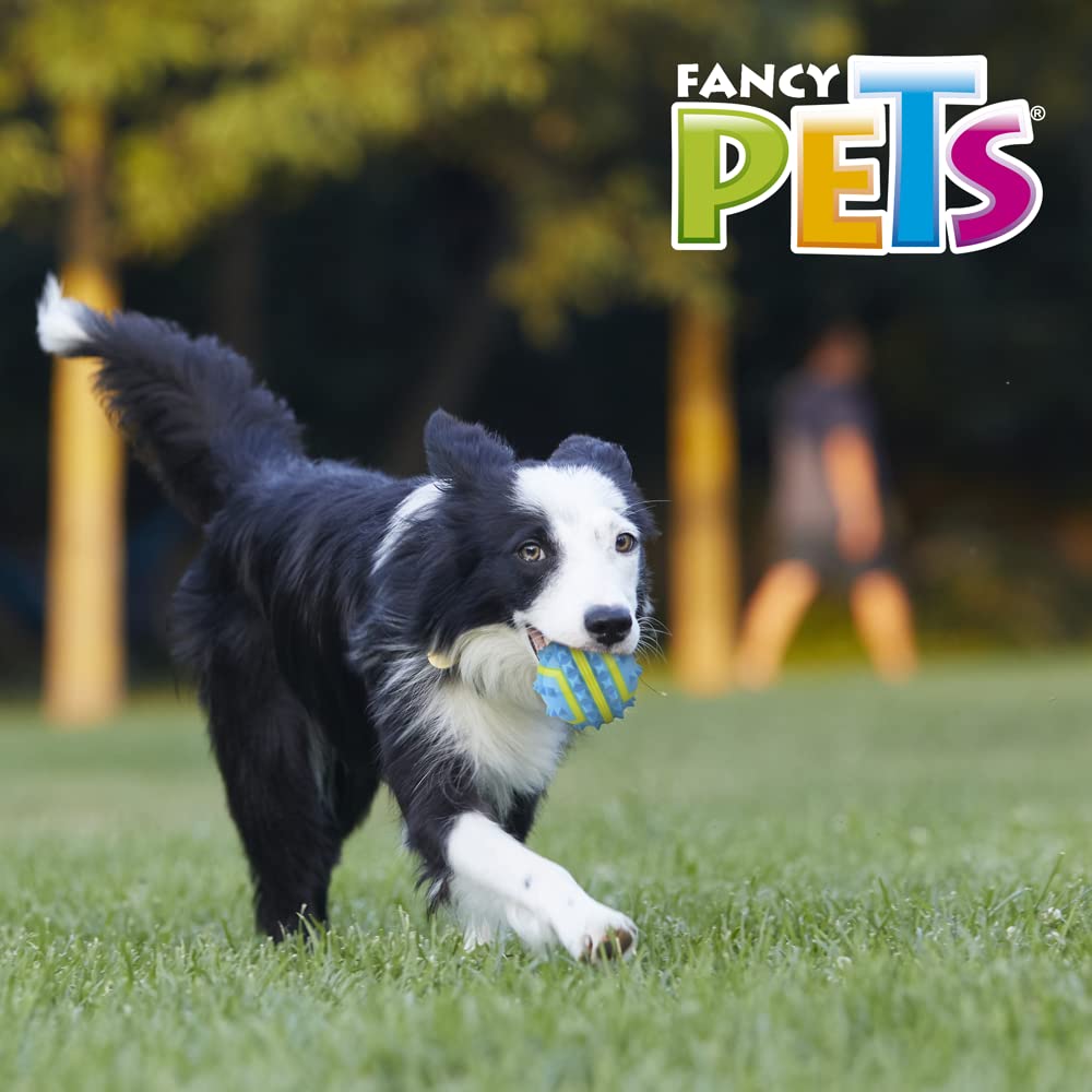 Fancy Pets Pelota Fetch Spiky Color Azul Tamaño Mediano para Perro