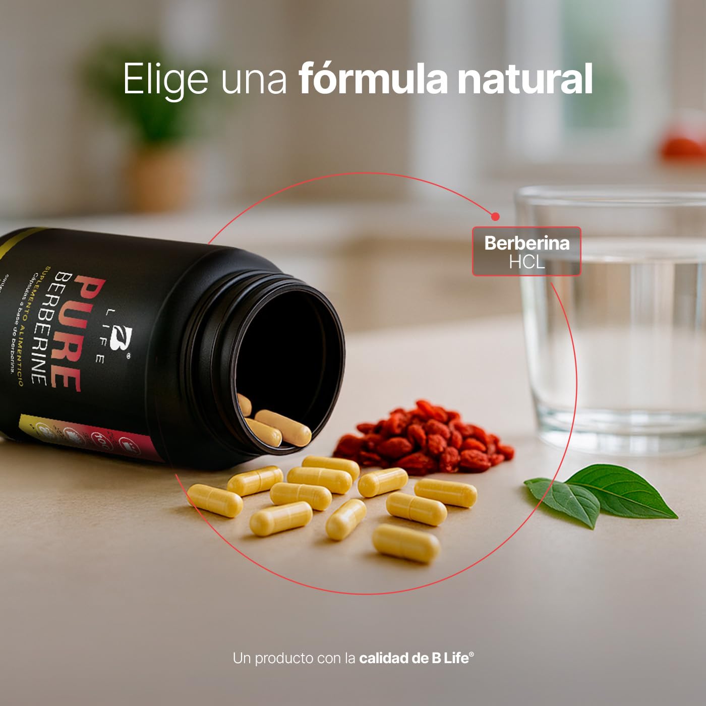 B Life Berberina HCL Pura 1000 mg | 200 Cápsulas | Ingredientes Naturales | Pure Berberine.