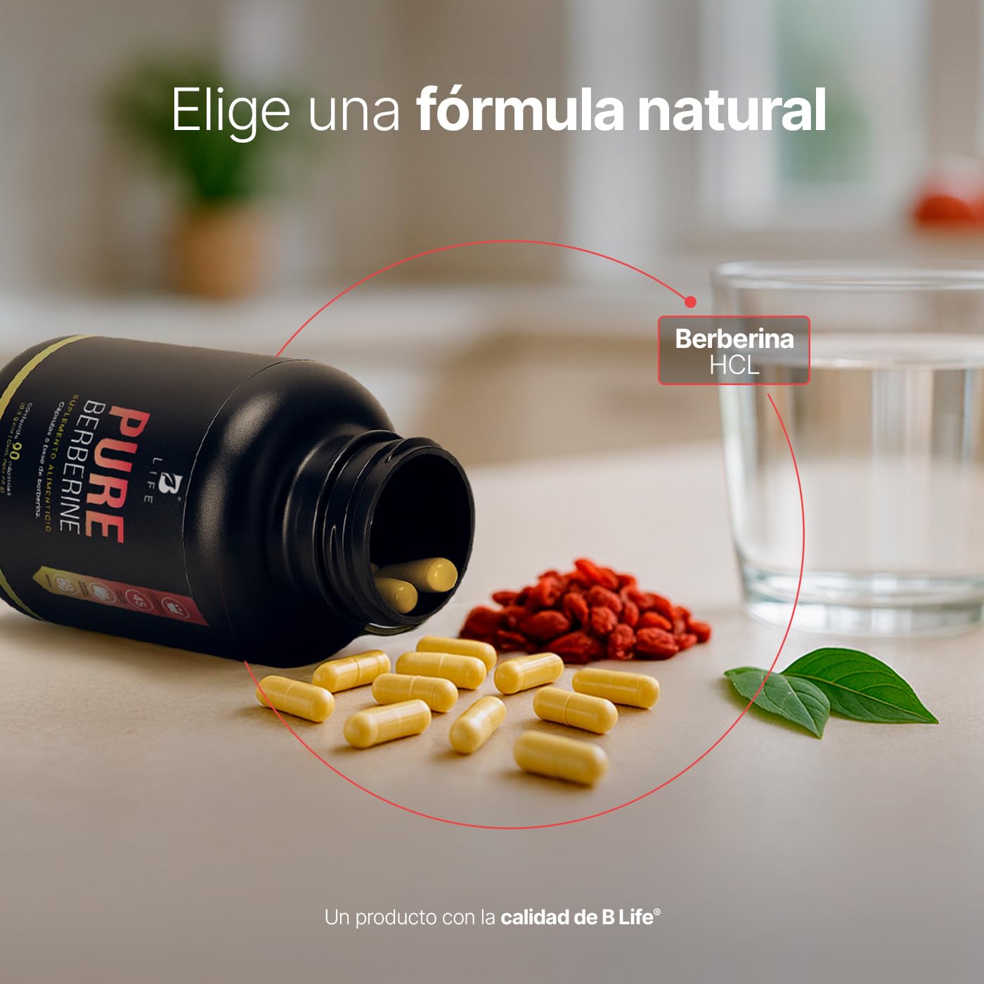 B Life Berberina HCL Pura | 90 Cápsulas | 1000 mg por porción | Ingredientes Naturales | Pure Berberine.