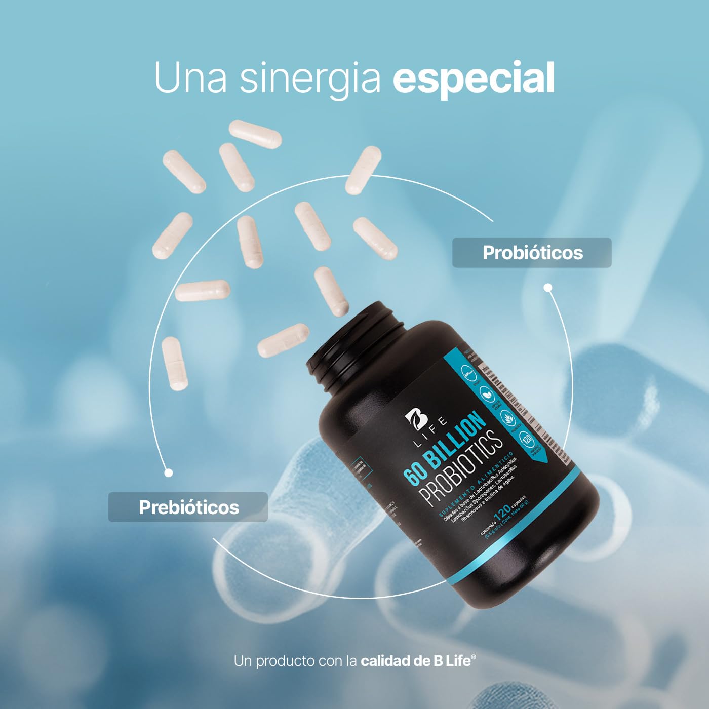 B Life Probióticos 60 Billones UFC | 140 Cápsulas | 3 Cepas De Probióticos | Liberación Retardada | Tecnología Patentada DRcaps | Adicionados Con Inulina De Agave | 60 Billion Probiotics.
