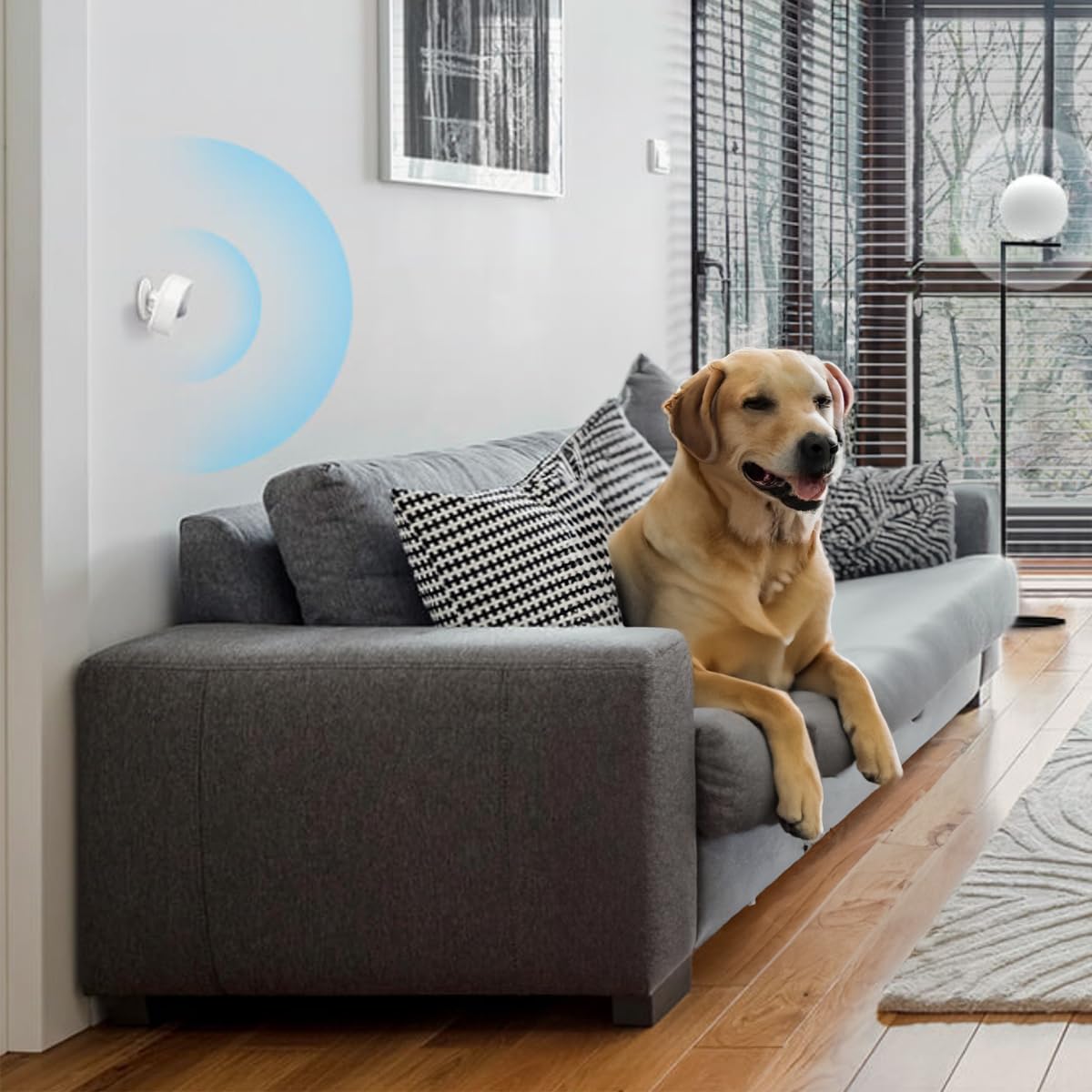 Sensor de Movimiento TP-Link Tapo Blanco Protocolo Inalámbrico de Baja Potencia y Sensibilidad Ajustable