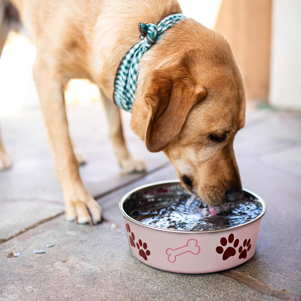 Loving Pets Bella Bowl for Pets, Small, 350 ml, Paparazzi Pink