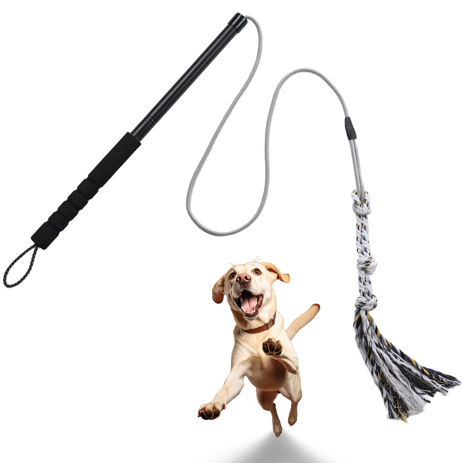 Gingull - Varita de coqueteo para perros – Varita interactiva para perros Chase and Tug of War - Barra de coqueteo para perros de alta resistencia, juguetes para masticar para dentición, juguetes