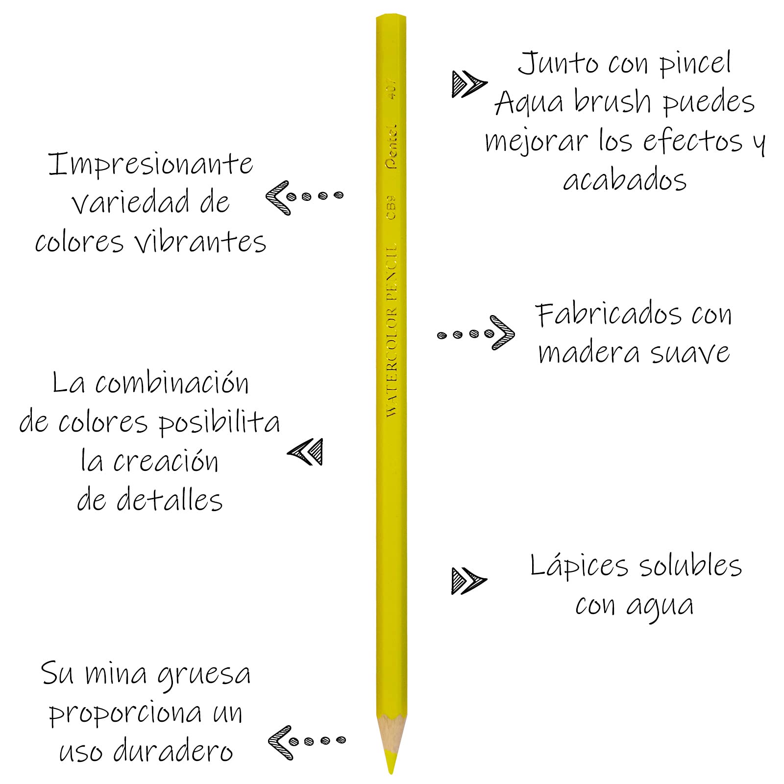 Lapices de Colores Acuareleables 2 en 1 Pentel 12 U-CB9-12-EST