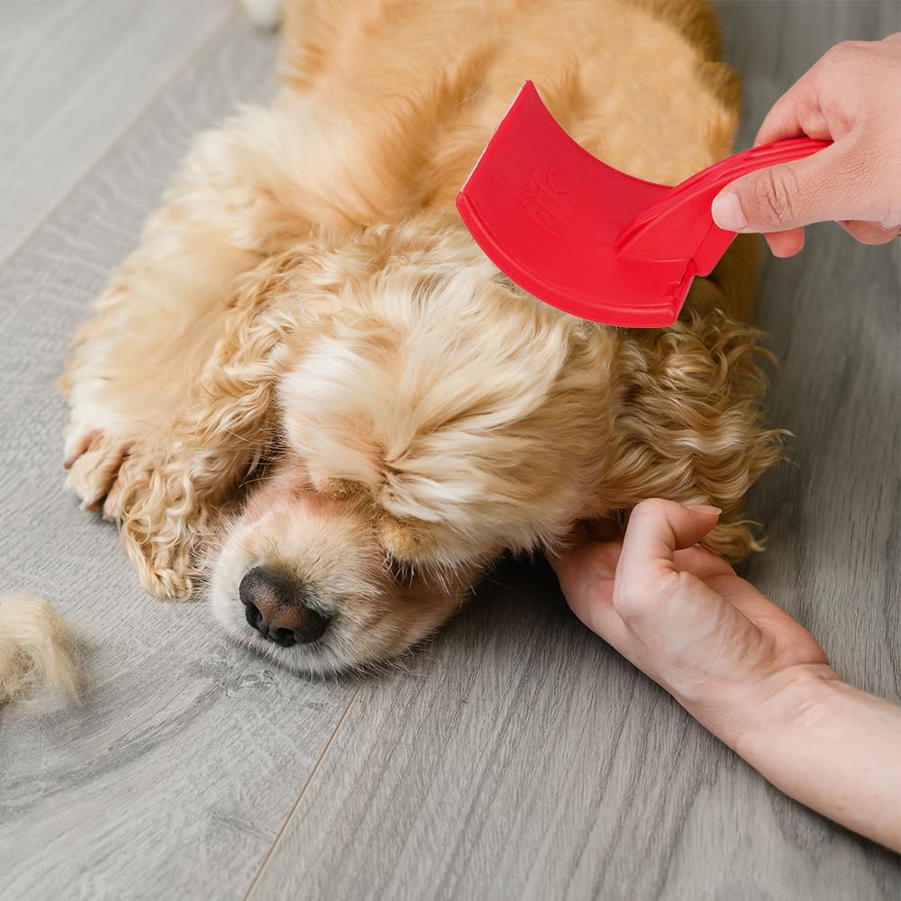 Fancy Pets Carda para Perros Color Rojo Tamaño Grande