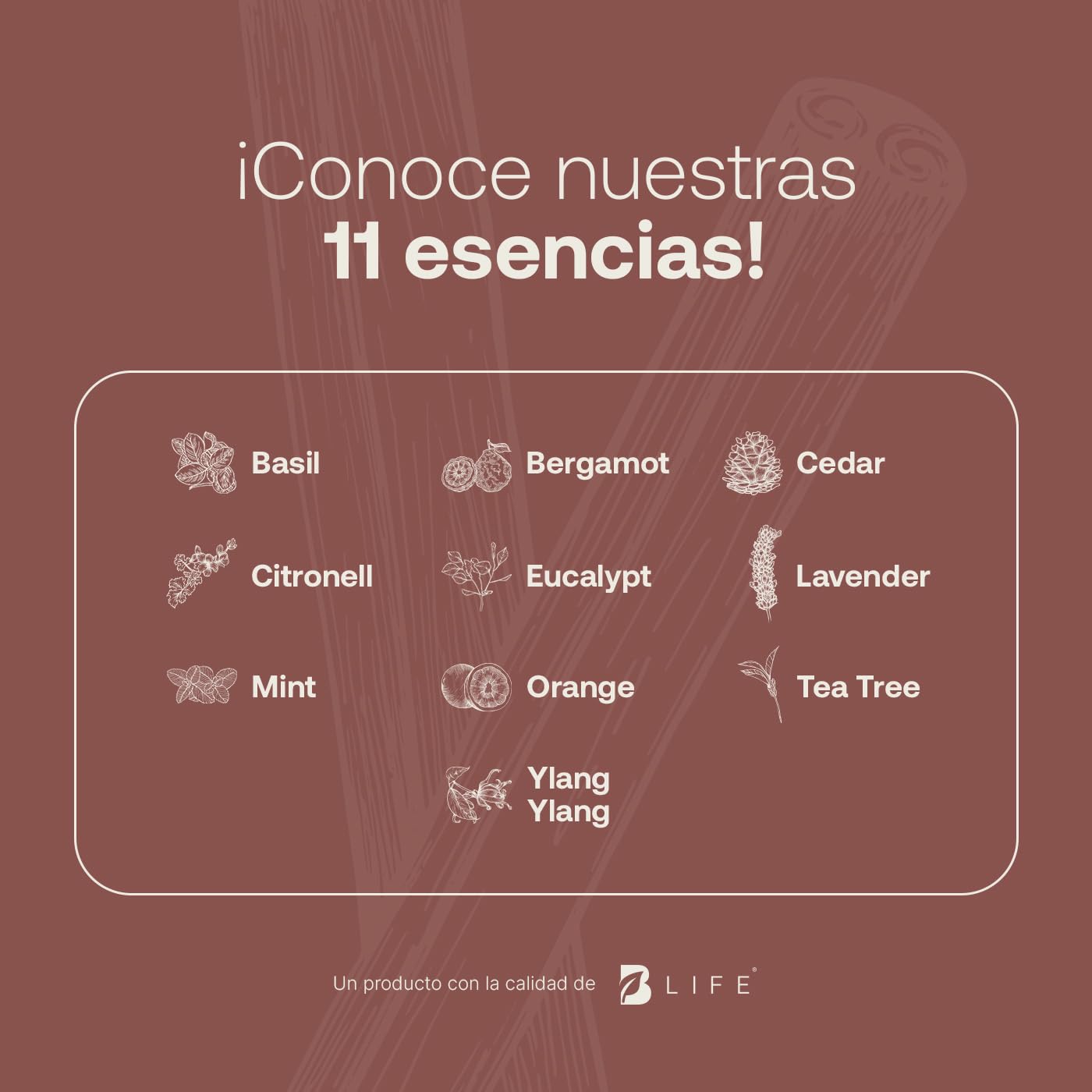 Aceite Esencial B Life Canela Ingredientes Puros Aromalogía 50 ml