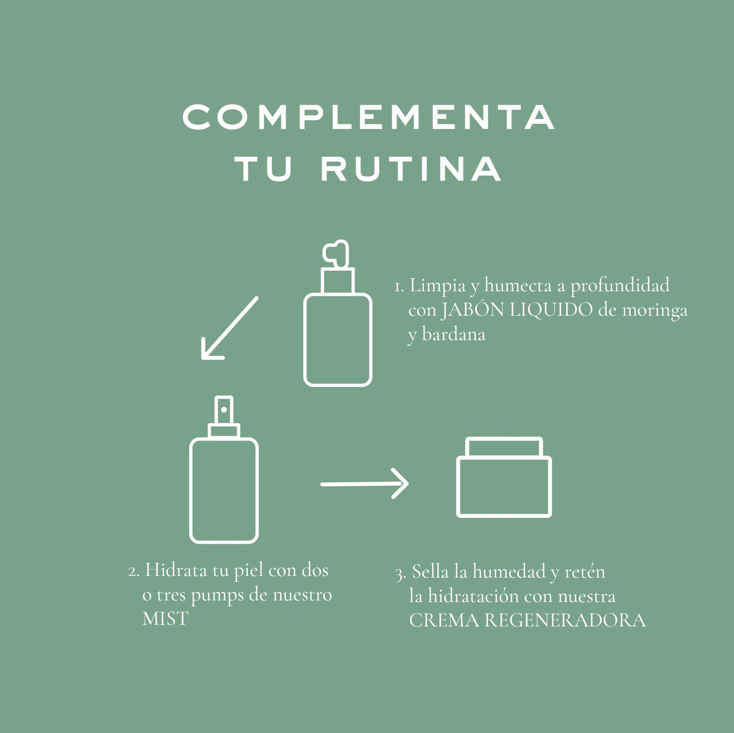 Remedios del Bosque Jabón Purificante para Cara con Moringa y Bardana, Jabón Líquido Antioxidante no Reseca, para Piel sensible, madura, mixta y seca, 125 Mililitros