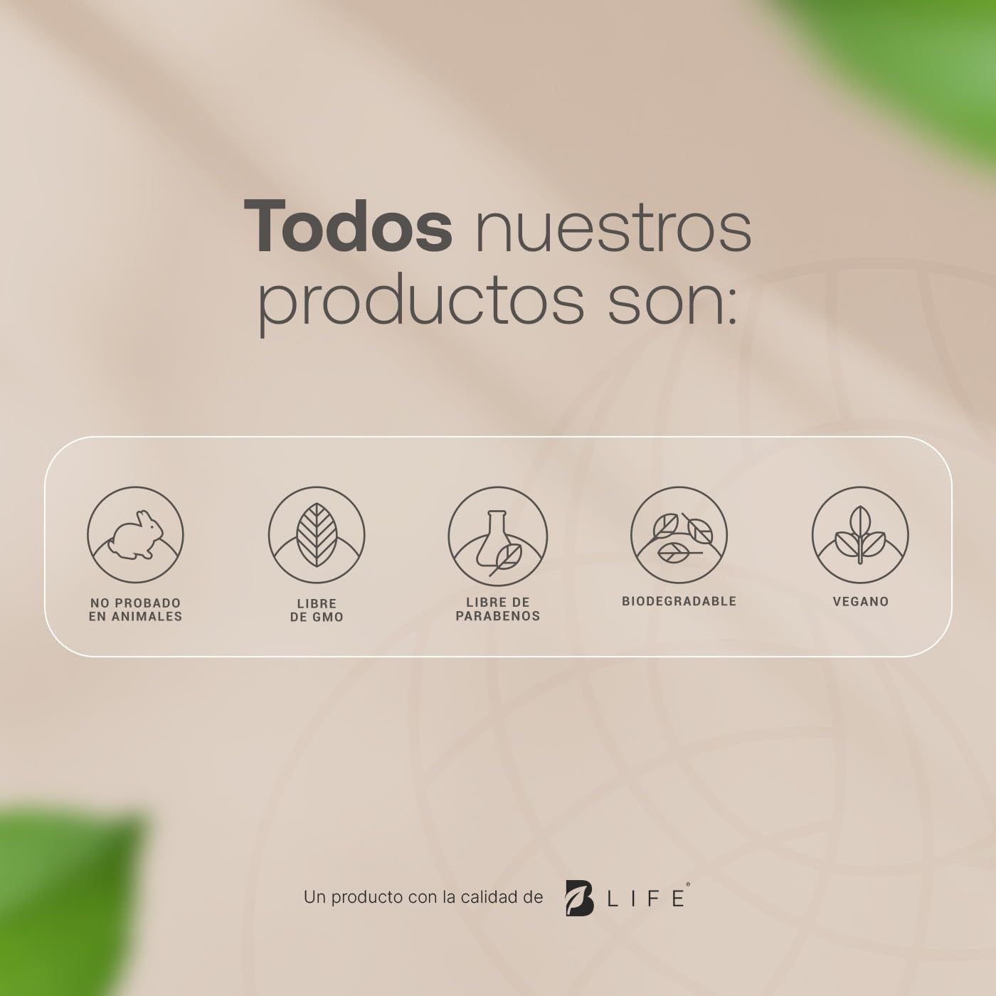 Kit Crema Día y Noche para Rostro de 90 ml C/U. Ingredientes Naturales. Adicionada con Vitamina C y Ácido Hialurónico. Kit Day and Night Cream B Life.