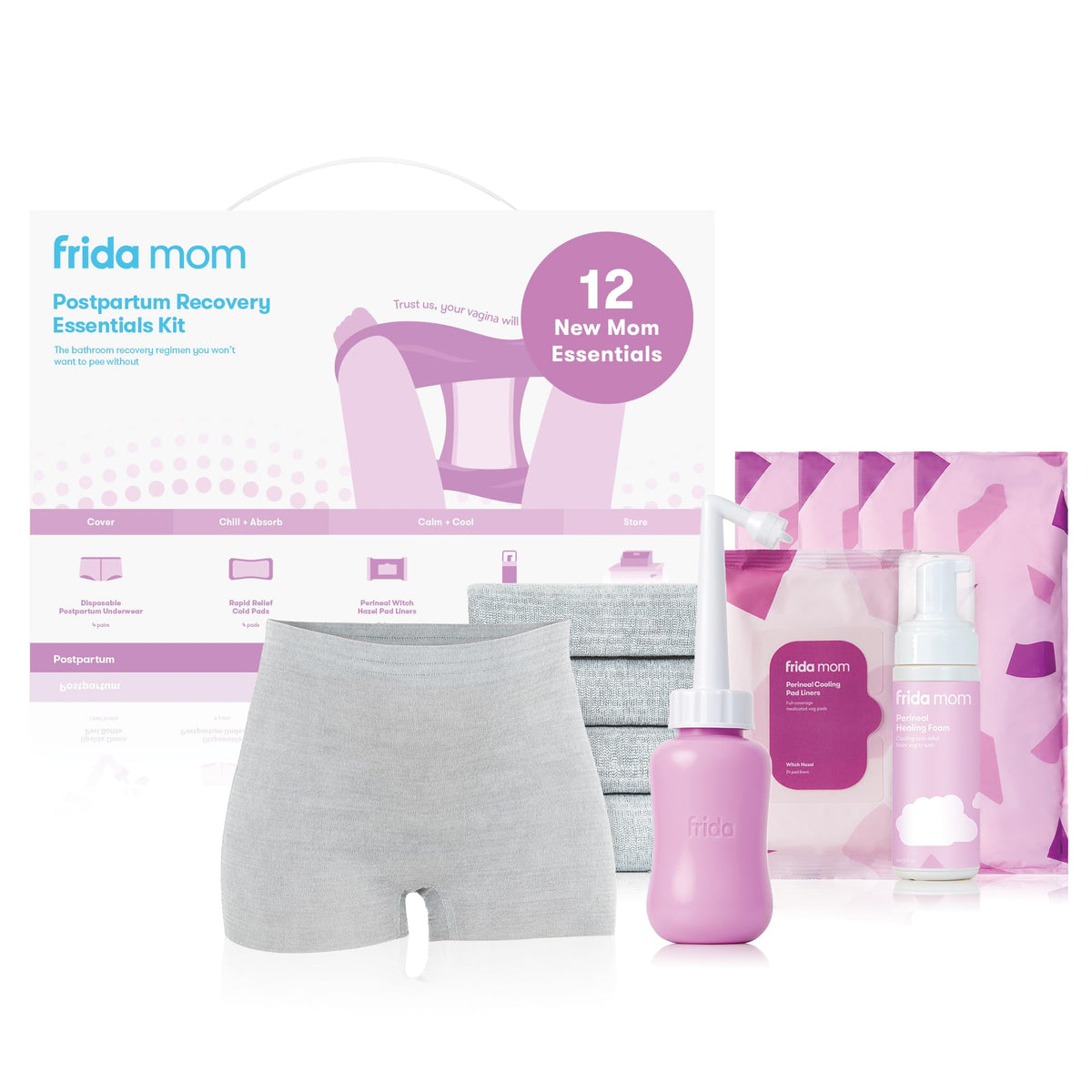 Frida Mom Kit de Esenciales Posparto, Incluye Botella Invertida, 4 Calzones Desechables, 4 Toallas Femeninas Frías, 24 Recubrimientos y Espuma de Hamamelis, Gris, Talla Unica