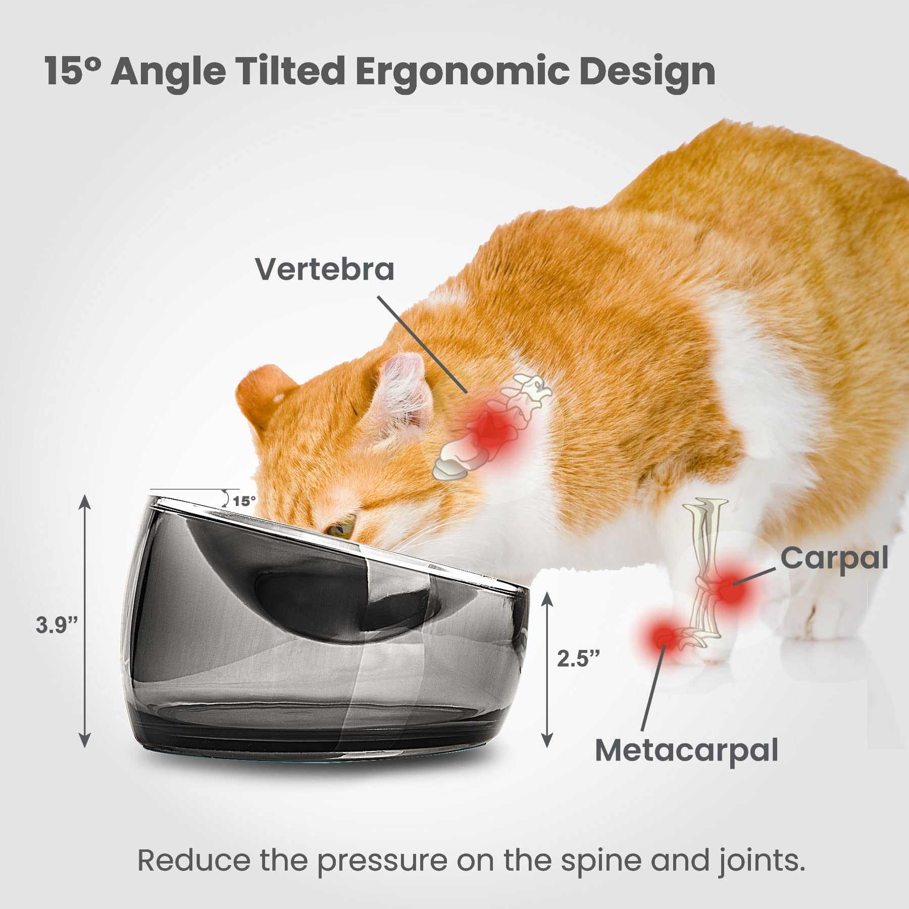 Felli Cuenco elevado para gatos de acero inoxidable inclinado para aliviar la fatiga de los bigotes de mascotas, poco profundo para gatos persas, exóticos, de pelo corto, de cara plana, antideslizante, alimentador para gatos (0.5 tazas, cuarzo ahumado)