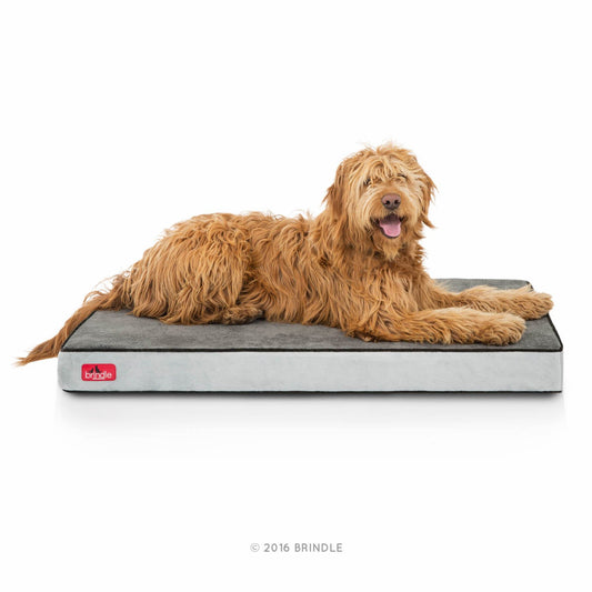Brindle Cama para Perro ortopédica de Memory Foam de 10 cm Cubierta de velvetón extraíble con Lino Impermeable, tamaño Grande, Color Negro/carbón, 117 x 71 cm