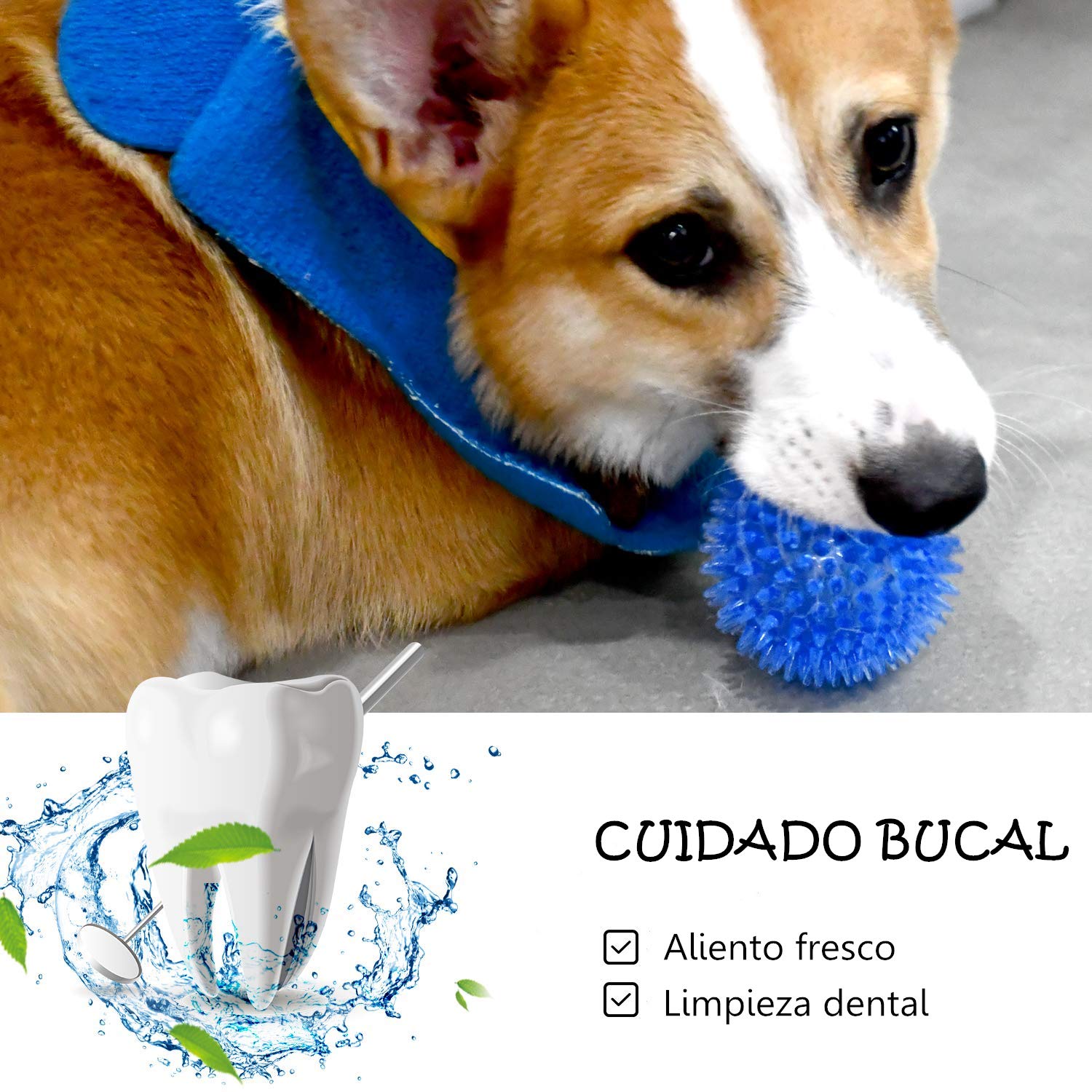 Pelota de Juguete para Perros Pequeños y Medianos Resistente a Mordeduras de Pelota Puntiaguda Azul