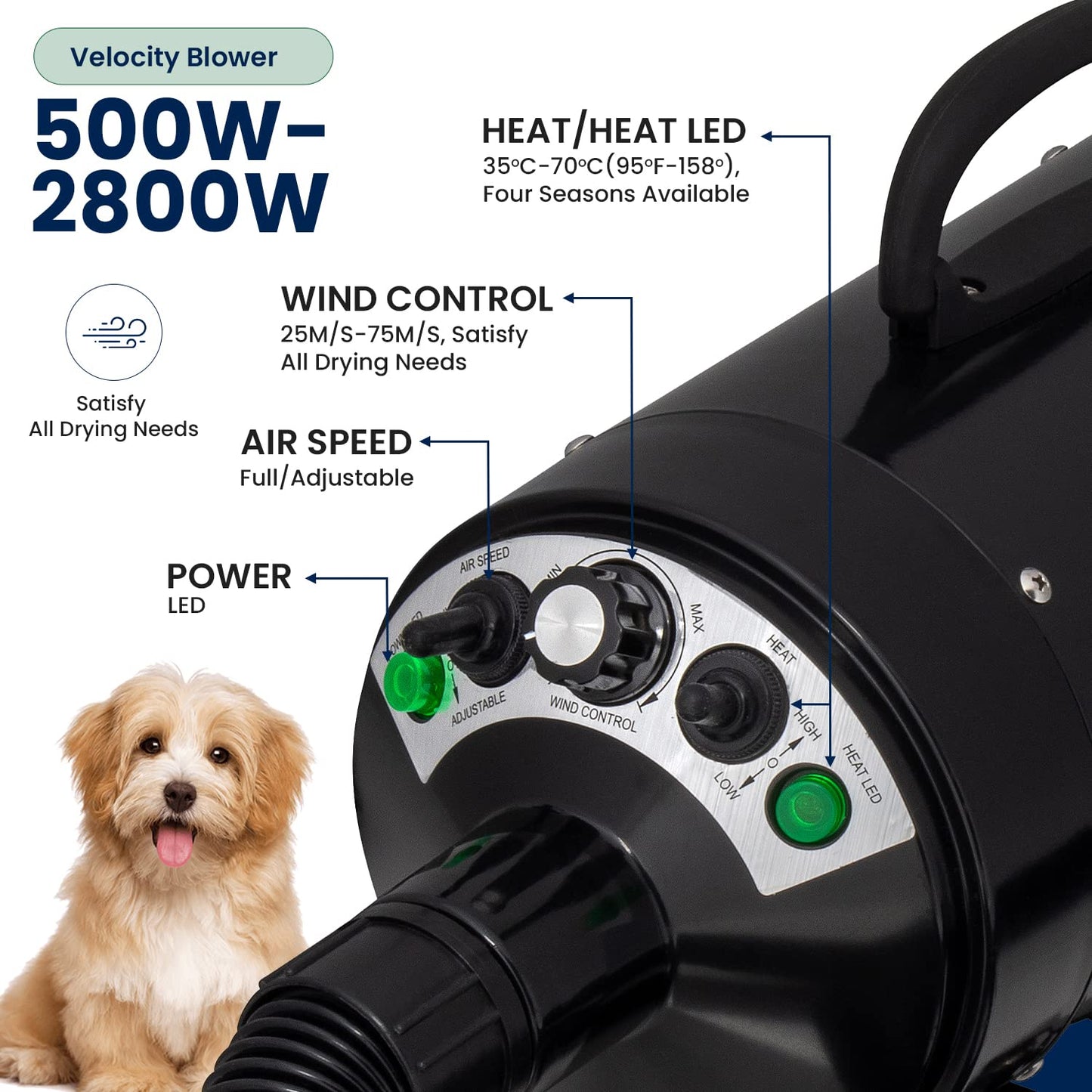 Secador de Pelo para Perros My Pet Command Alta Velocidad Ajustable con Cepillo de Aseo, 110 V 500 W-2800 W 4.5 CV, caliente y frío
