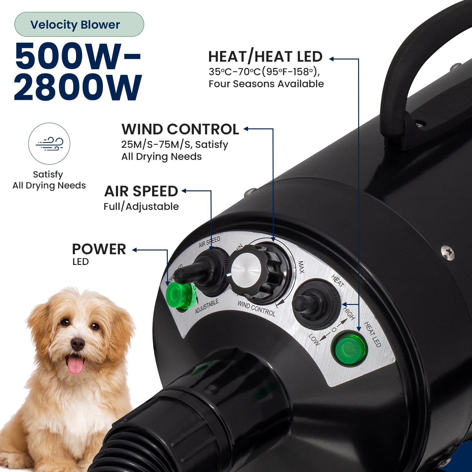 Secador de Pelo para Perros My Pet Command Alta Velocidad Ajustable con Cepillo de Aseo, 110 V 500 W-2800 W 4.5 CV, caliente y frío